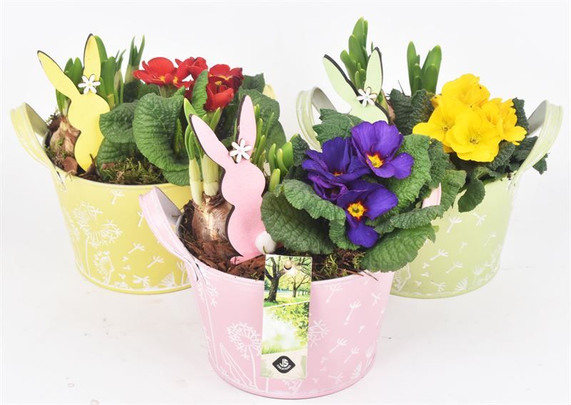 Zink schaal decor mix kl 15.5cm, D 15