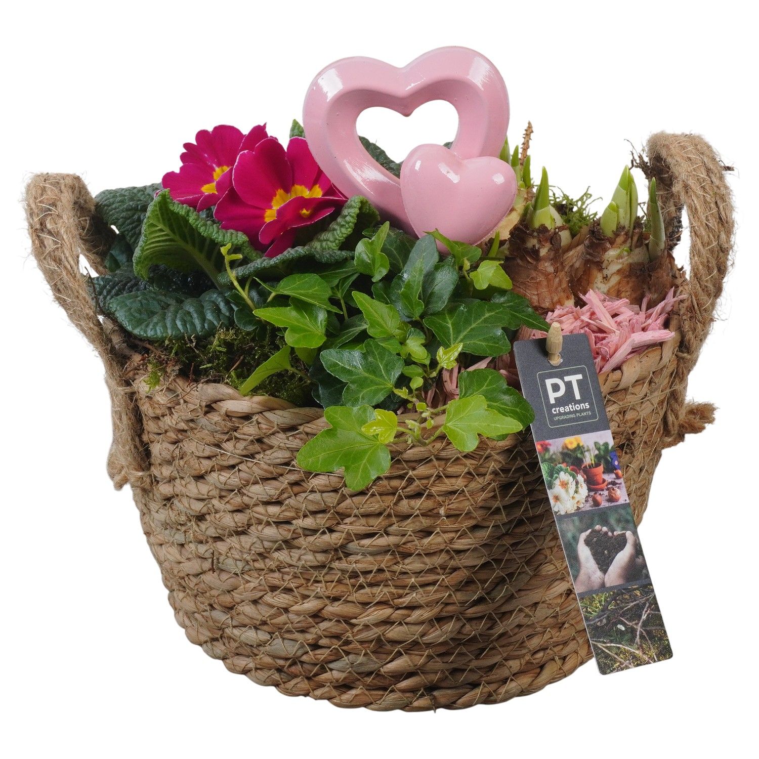 PTVO3636 Arrangement Valentine Outdoor in rieten mand, D 20