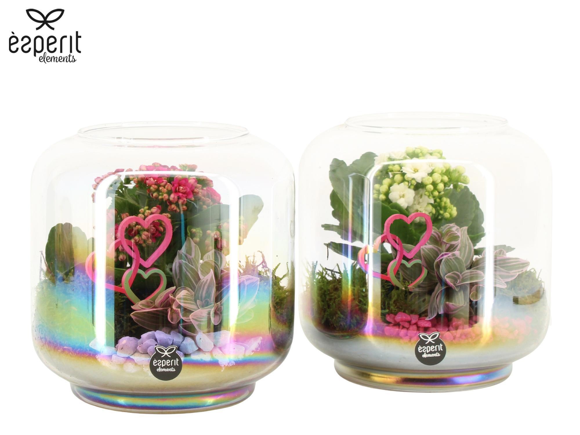 22104: Lovess arrangement, D 17