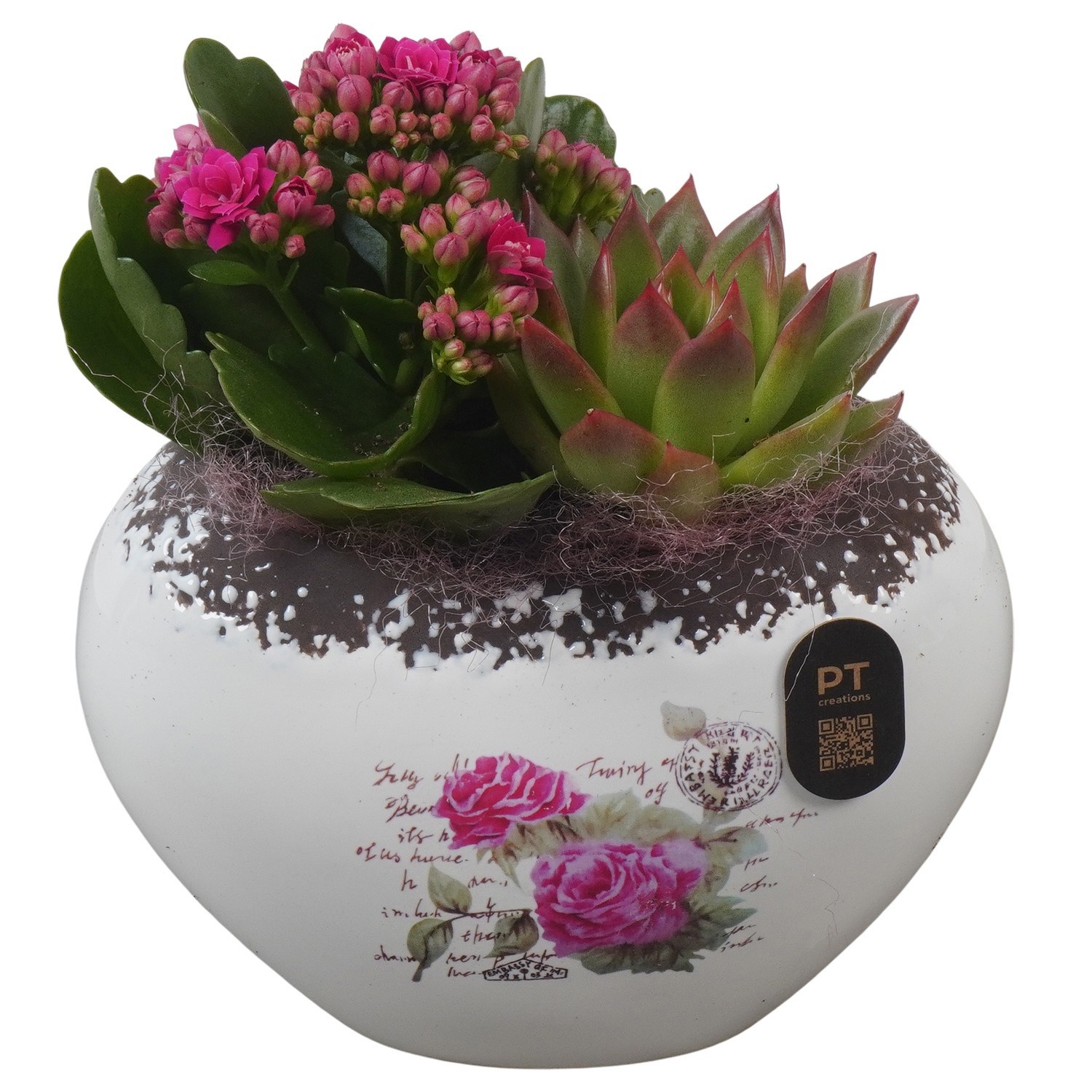 PTIB5203 Arrangement Indoor in keramiek pot, D 15
