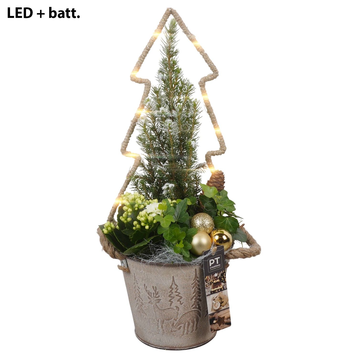 PTCHG5669 Arrangement Christmas Gold in metaal pot, D 15 cm