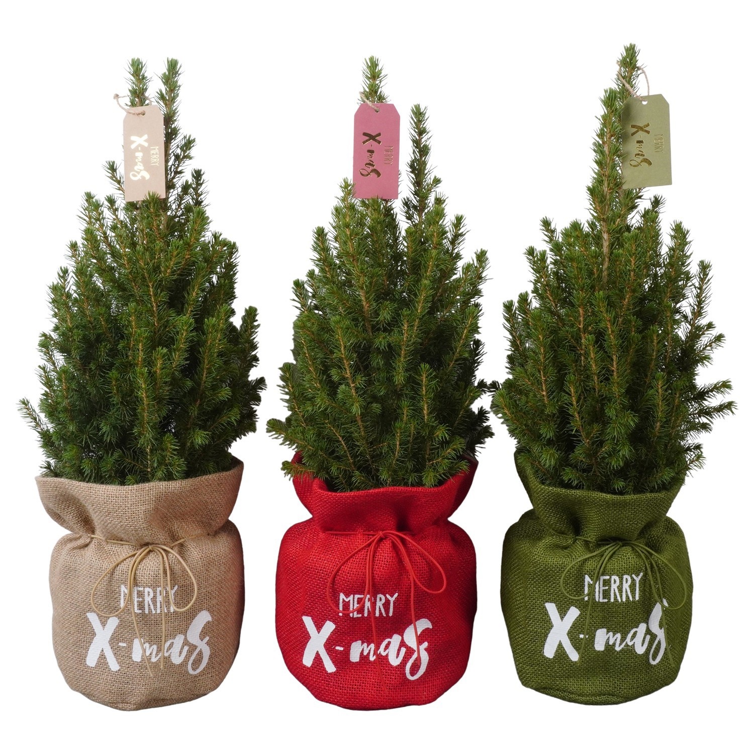 PTK26410 Conica Perfecta in jute mix met decoratie, D 15