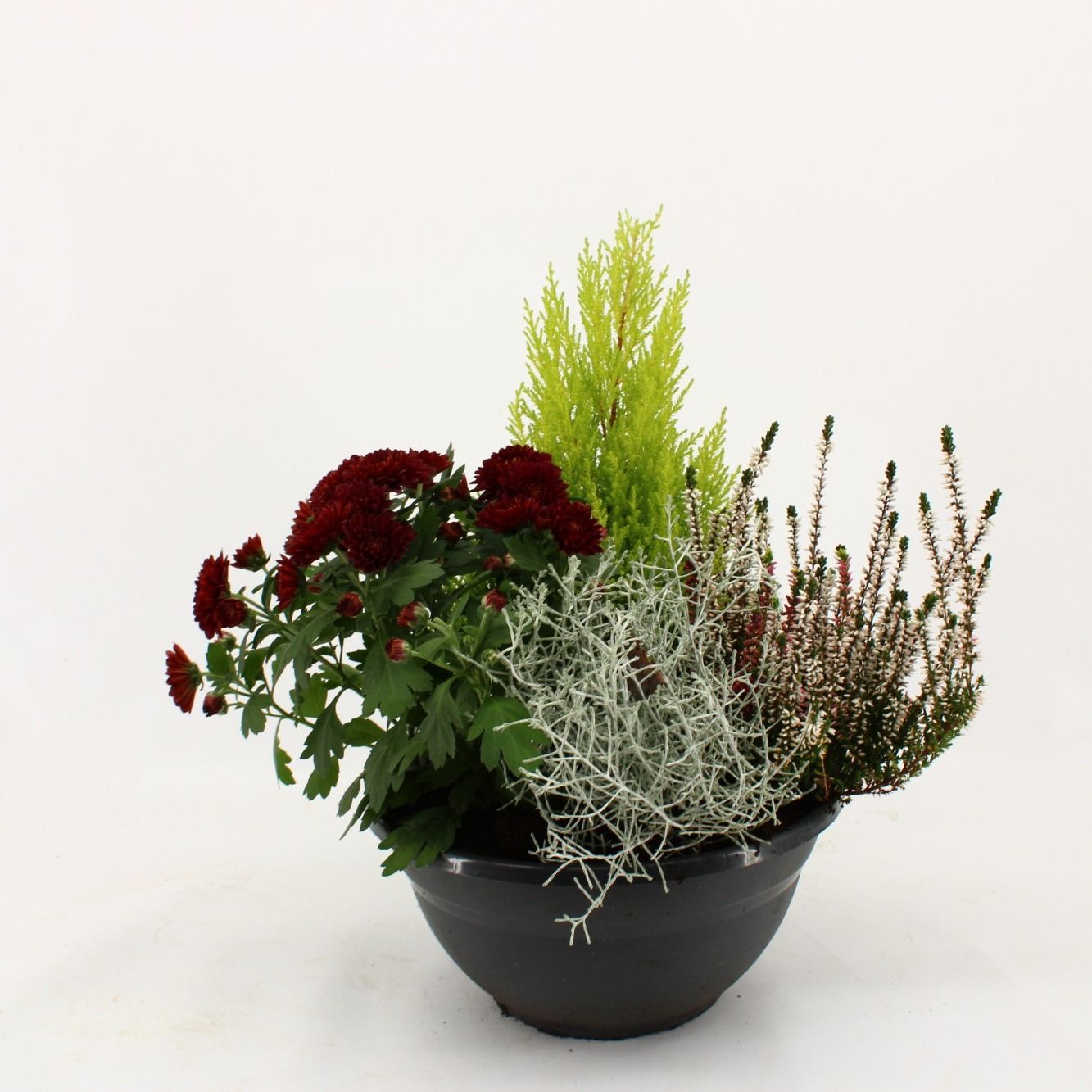 Hello Autumn in antraciet schaal 27 cm 'Leaf', D 27 cm