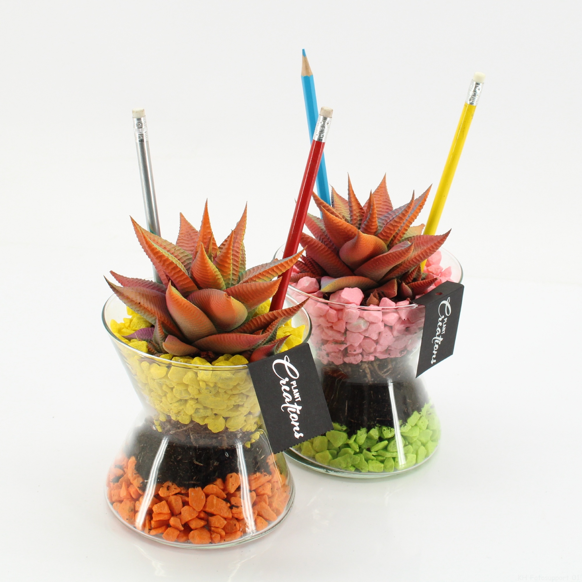 SSCR-2609 School Creations, D 12