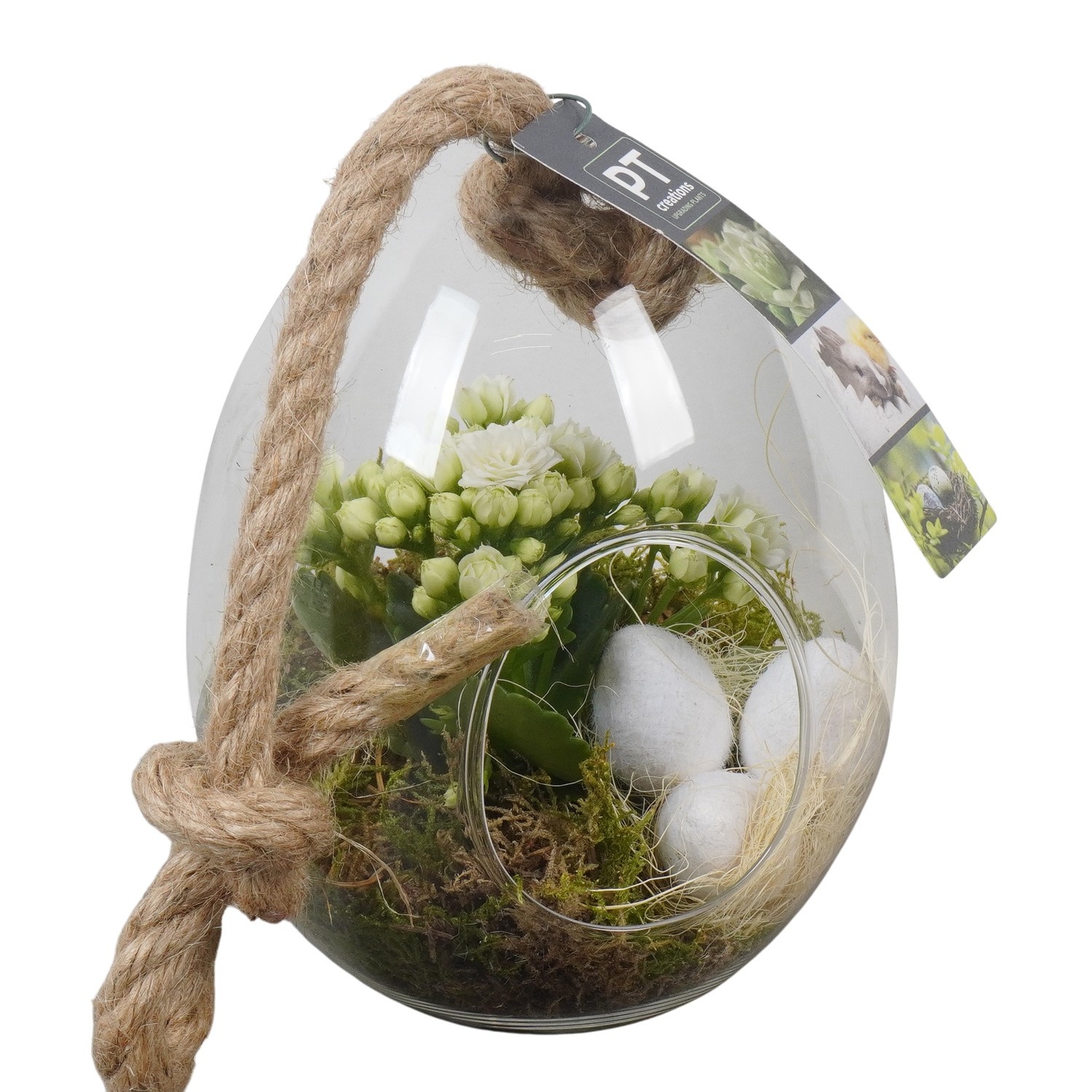 PTPG9308 Arrangement Easter in glas vaas, D 13