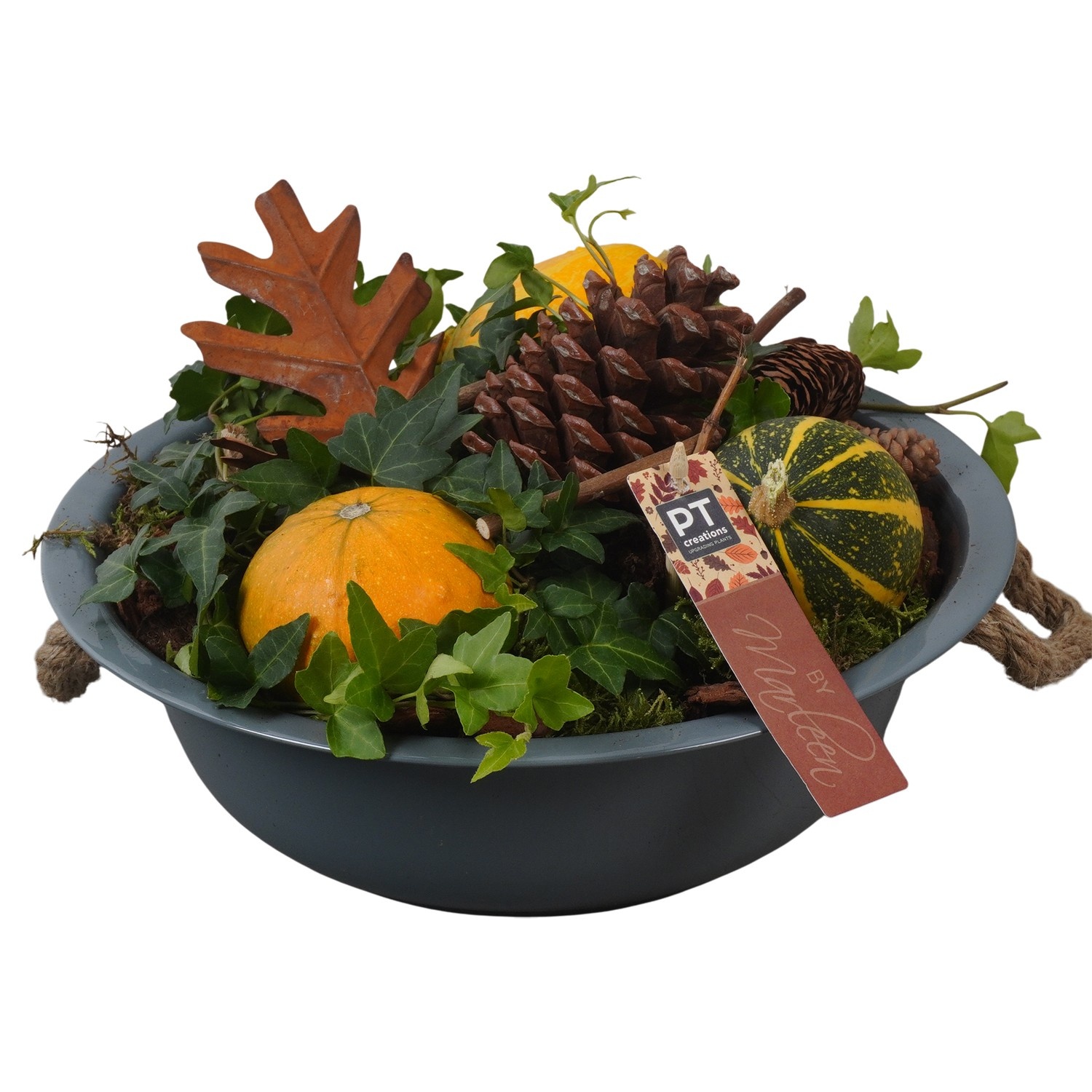 PTSF8204 Arrangement Kalebas hedera in metalen schaal, D 29 cm