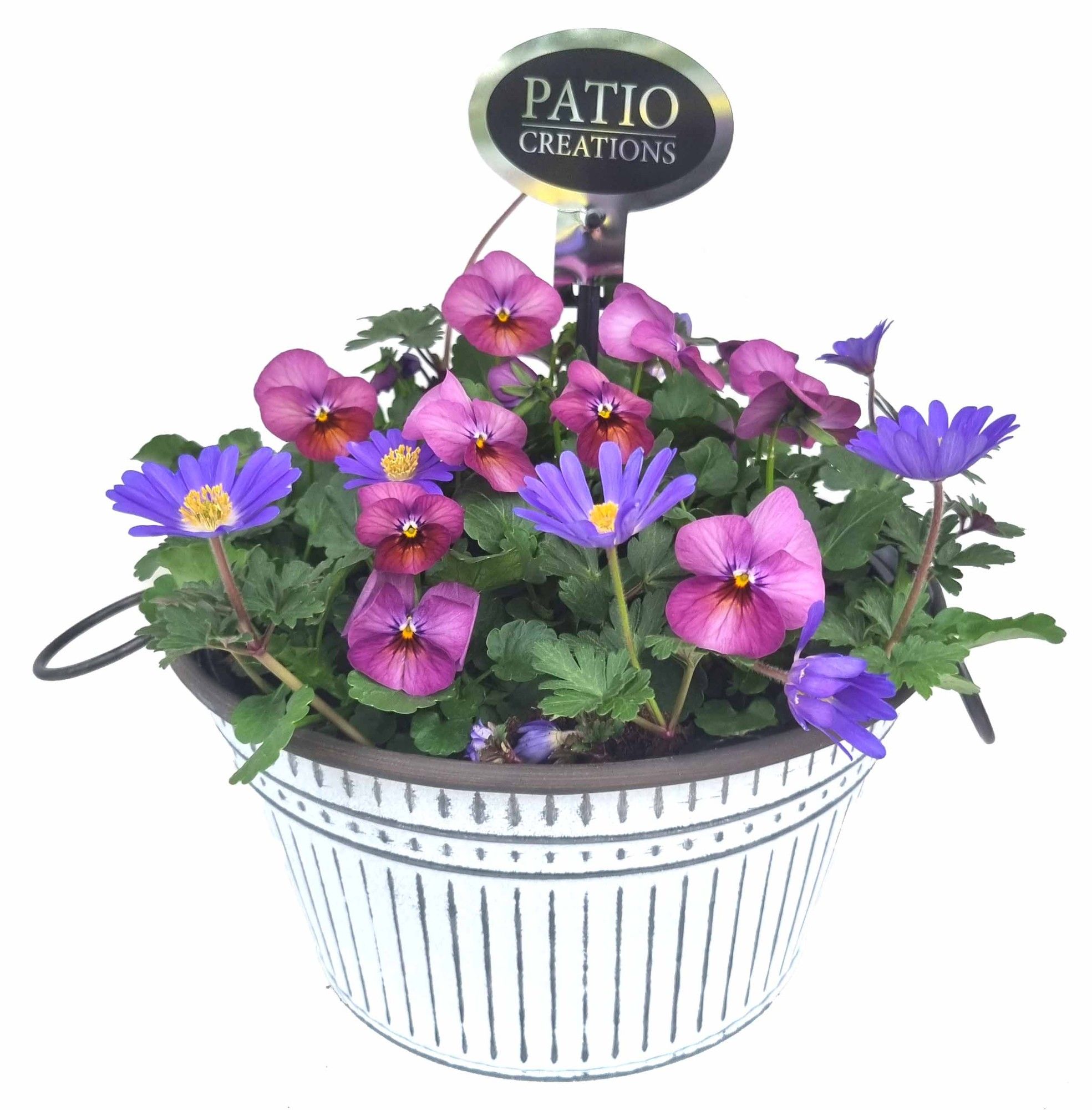 VAN732-9323 Viola/Anemone metalen trendschaal L, D 22