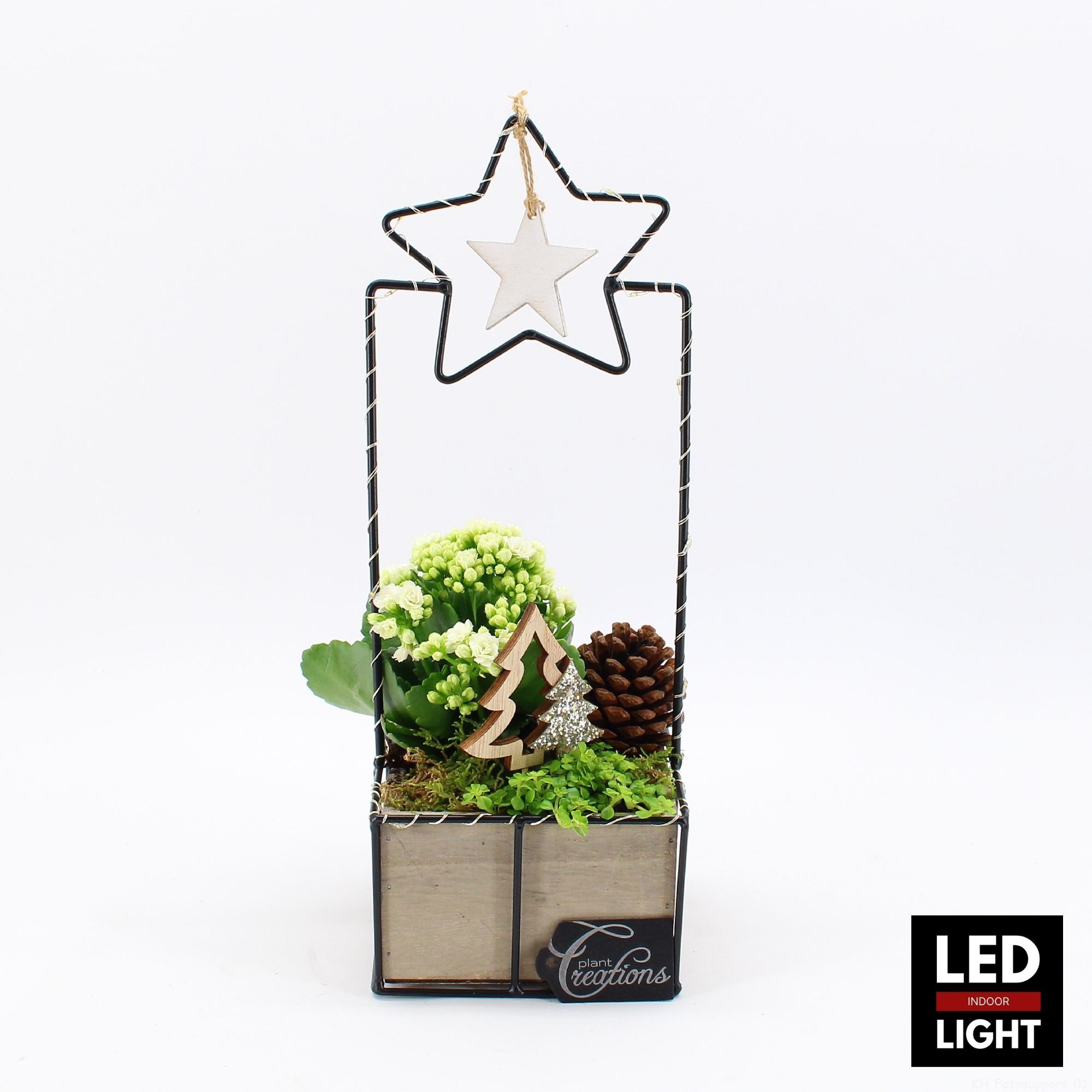 XMAS-25065LED Kerst creatie, D 13 cm XMAS-25065LED Kerst creatie, D 13 cm