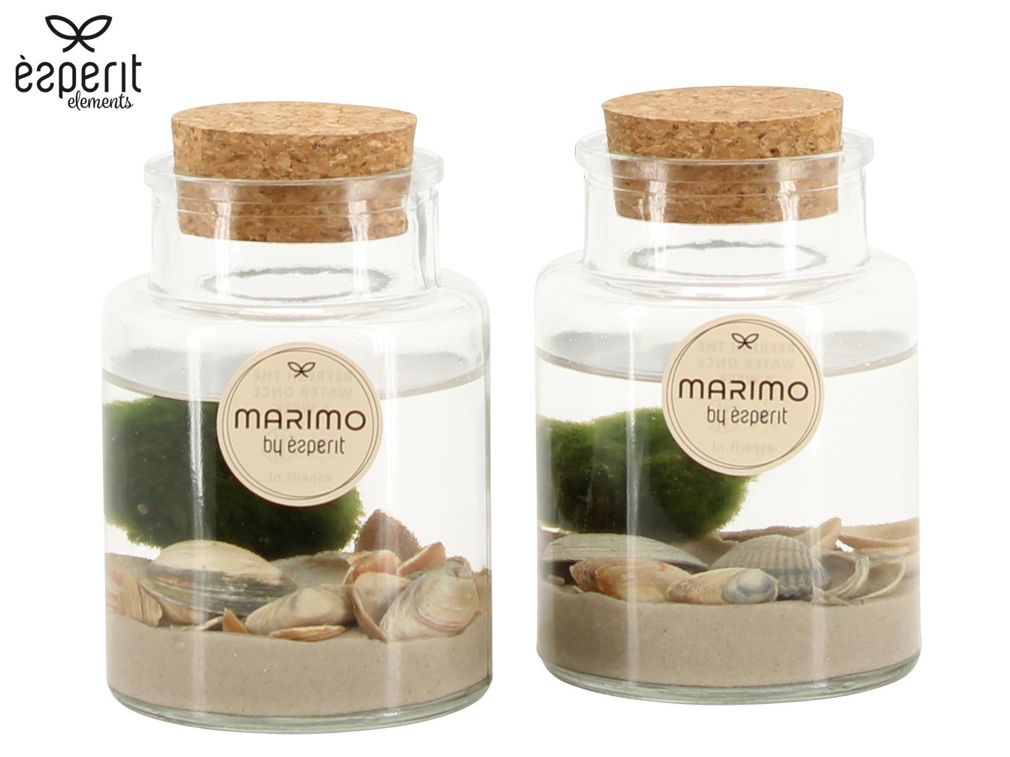 90965: Marimo arrangement, D 7