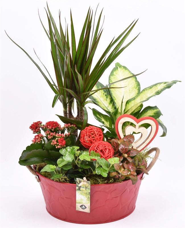 Zink schaal rood hart decor 25cm, D 25 cm