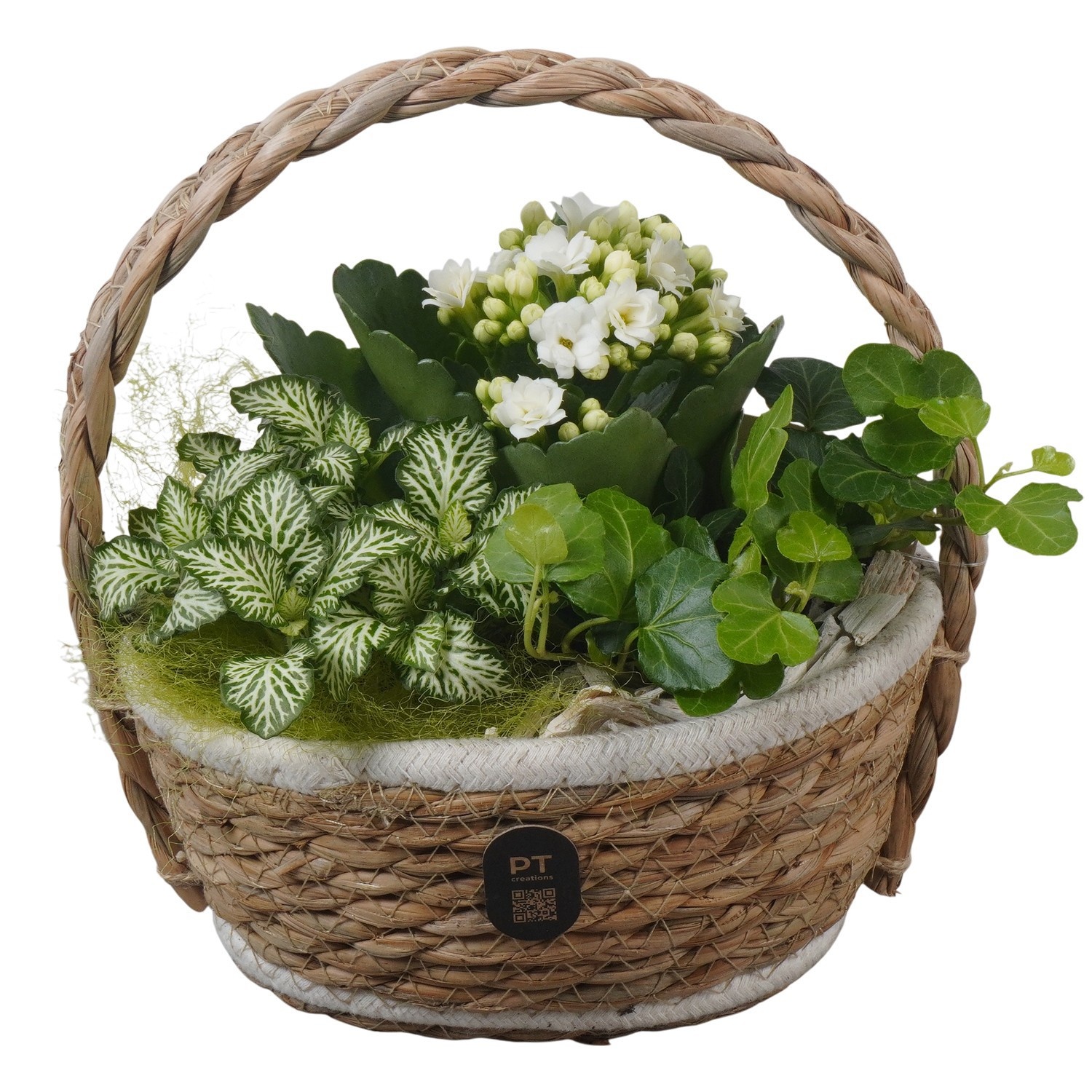 PTIB5240 Arrangement Indoor in rieten hengselmand, D 17