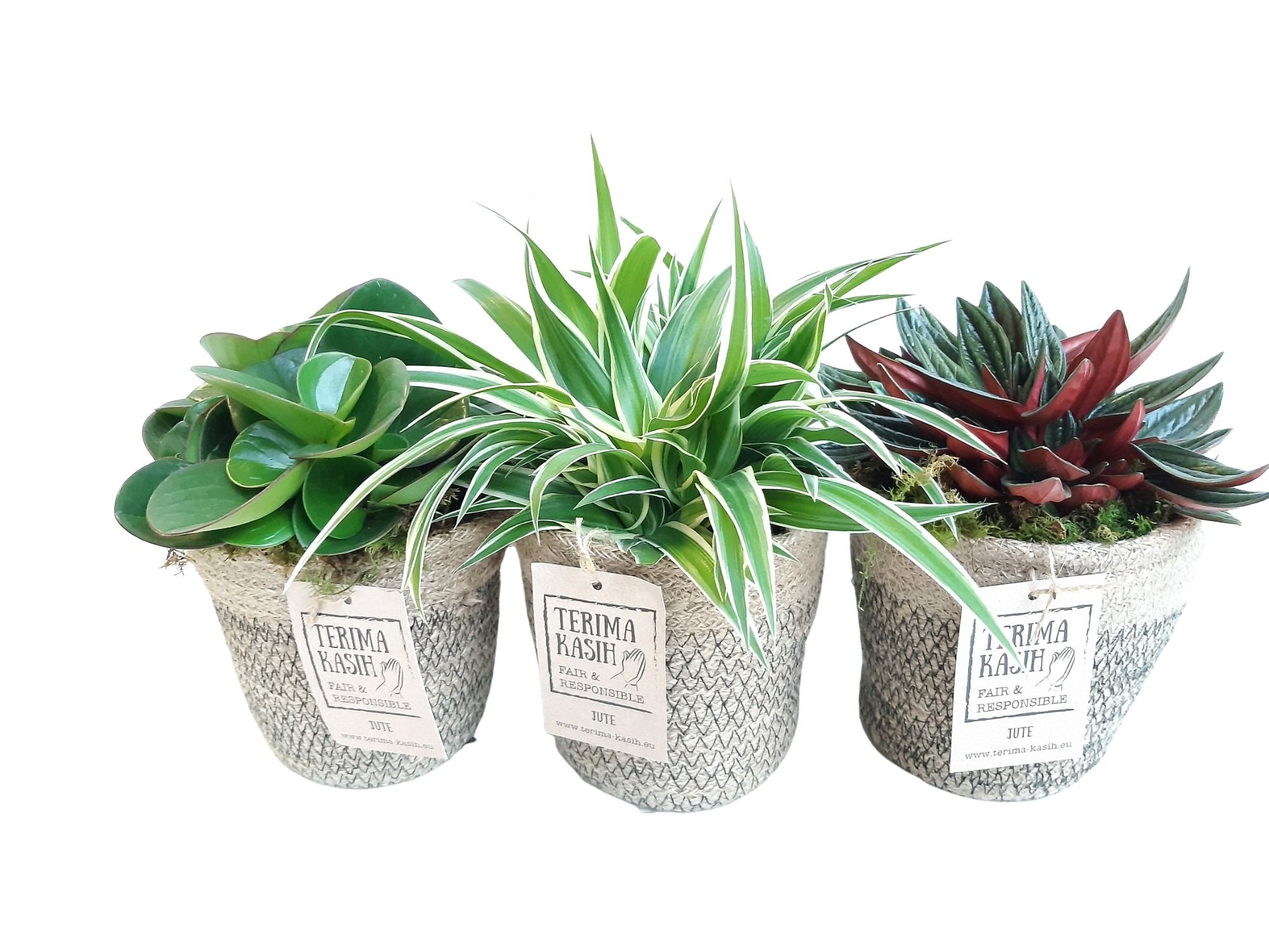 JM14GEM Jute mand D14cm Groenmix, D 14