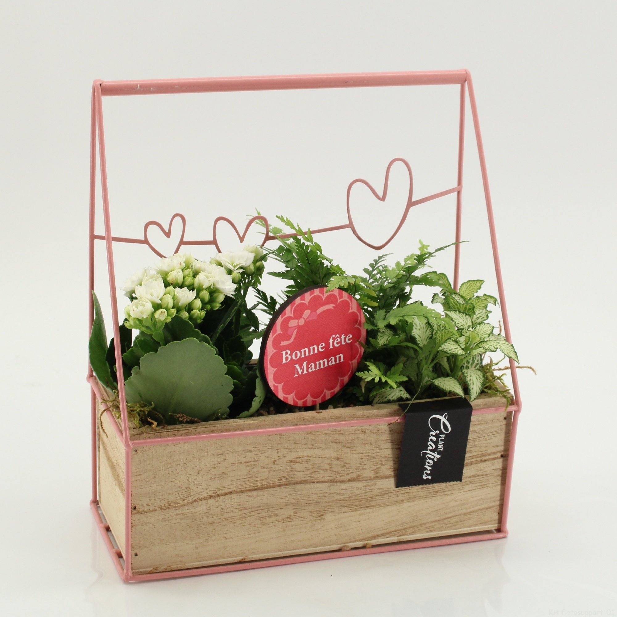 FRMD-2629W Bonne Fete Maman, D 23