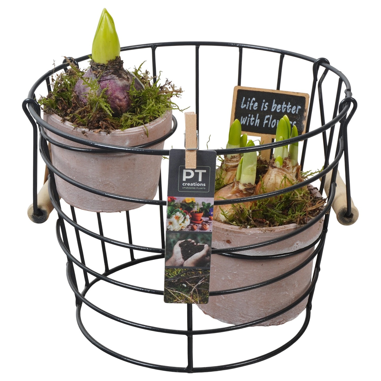 PTBM3865 Arrangement Flower Bulbs Mix in terracotta pot met metaal, D 23