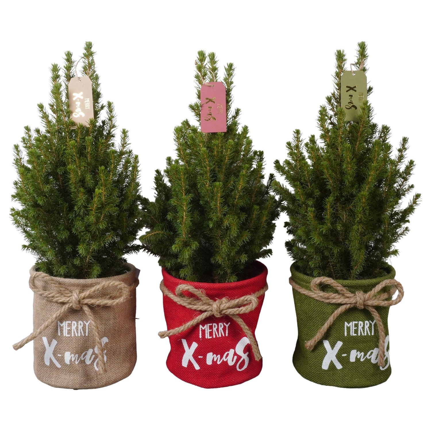 PTK26412 Conica Perfecta in jute mix met decoratie, D 16