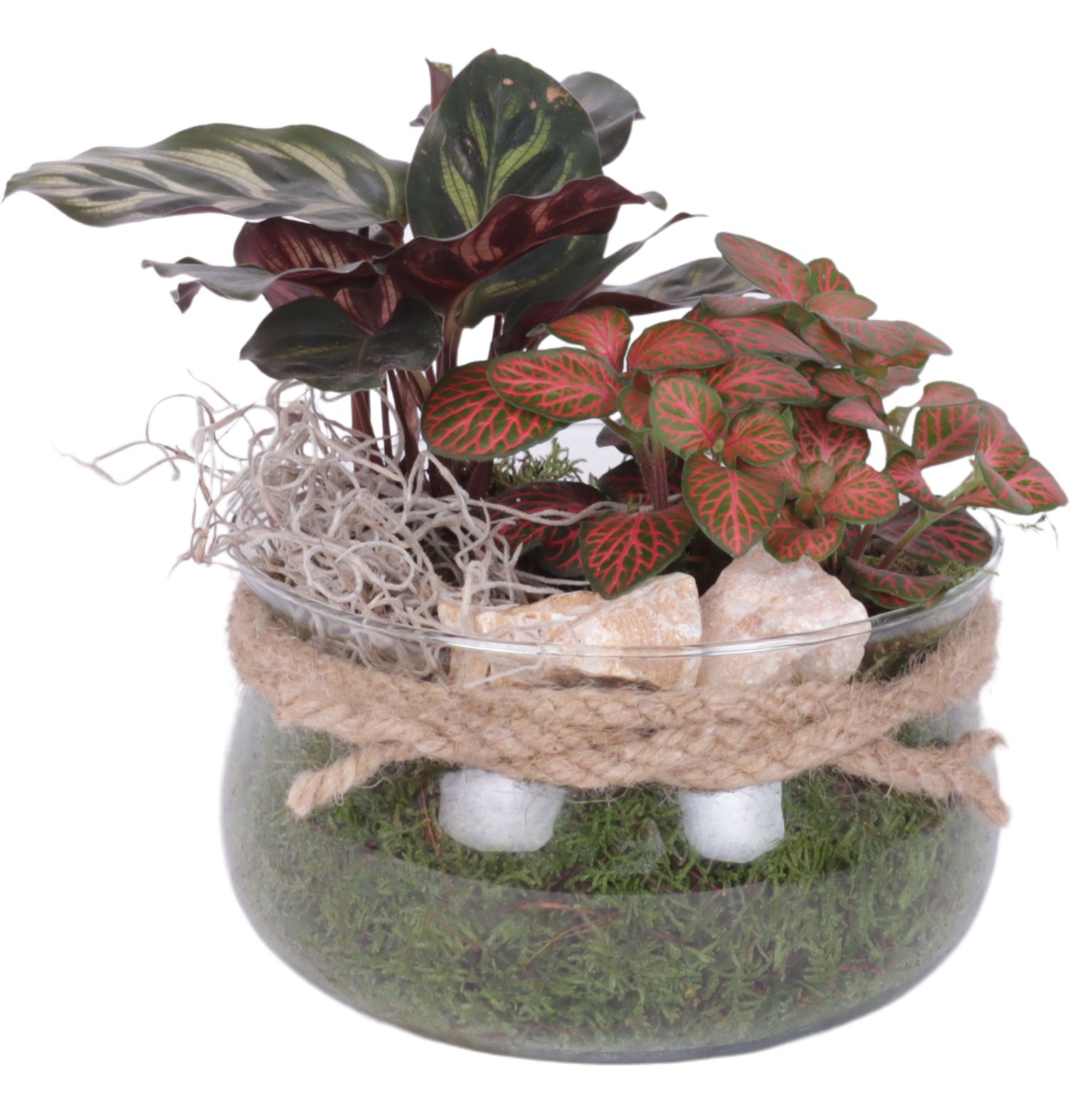 Yearround Arr. Indoor Glass Bowl with Rope Ø16cm 2PP, D 16