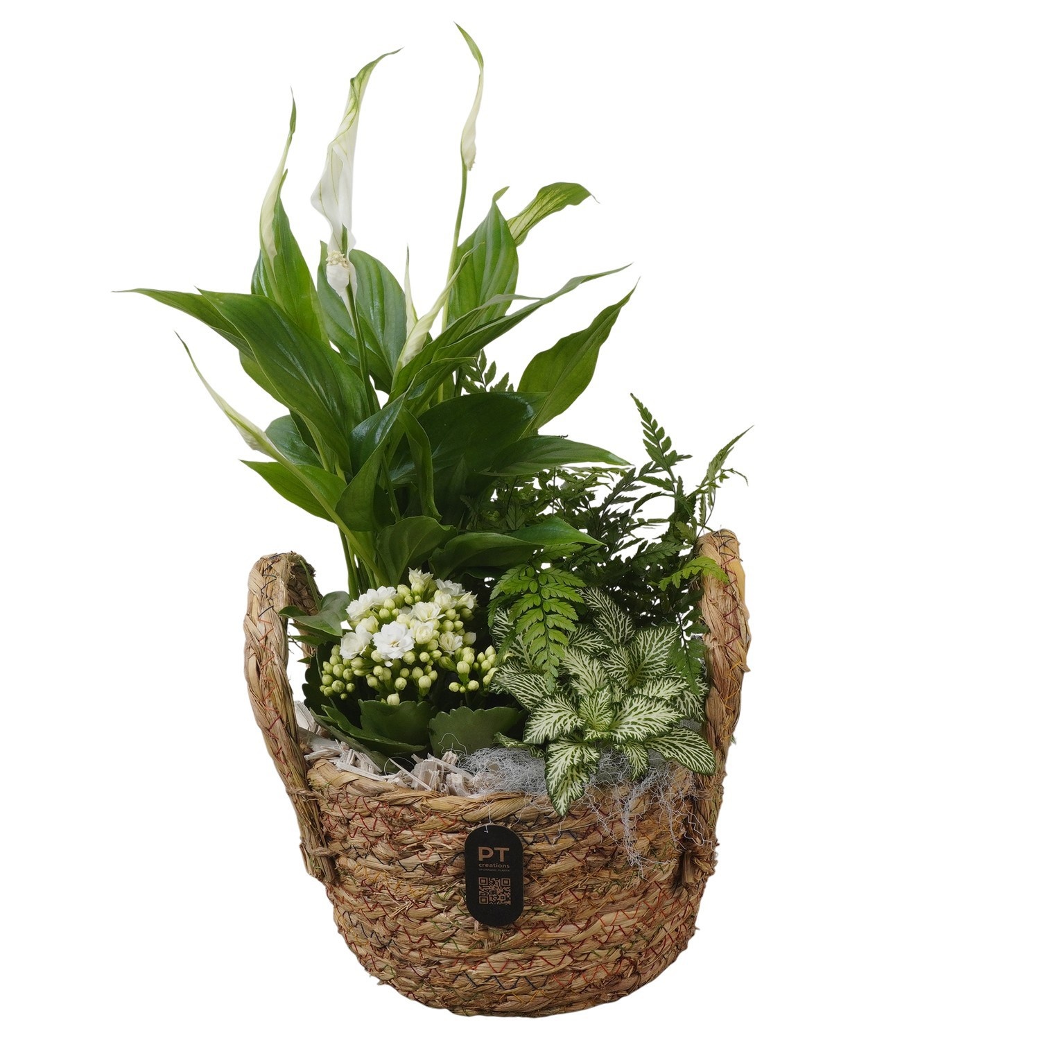 PTIB5219 Arrangement Indoor in rieten mand, D 18