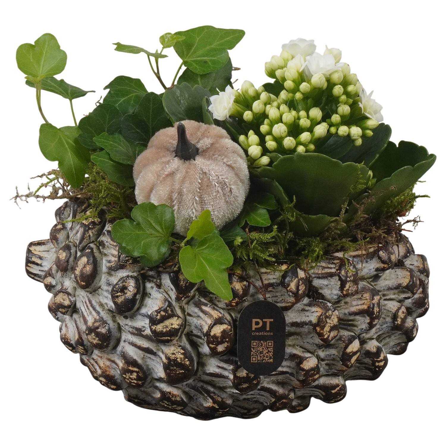 PTHI3275 Arrangement Autumn Indoor in beton pot in noot vorm, D 16