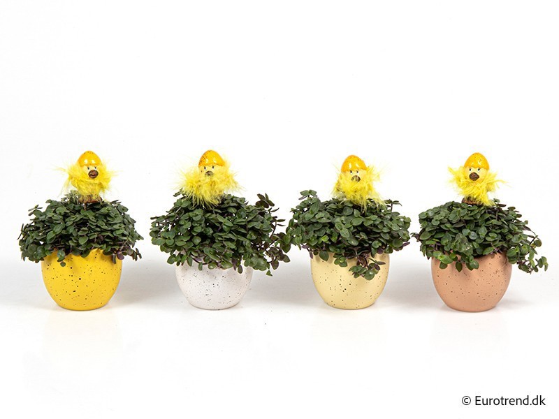 GREEN MIX IN E 4113, D 6