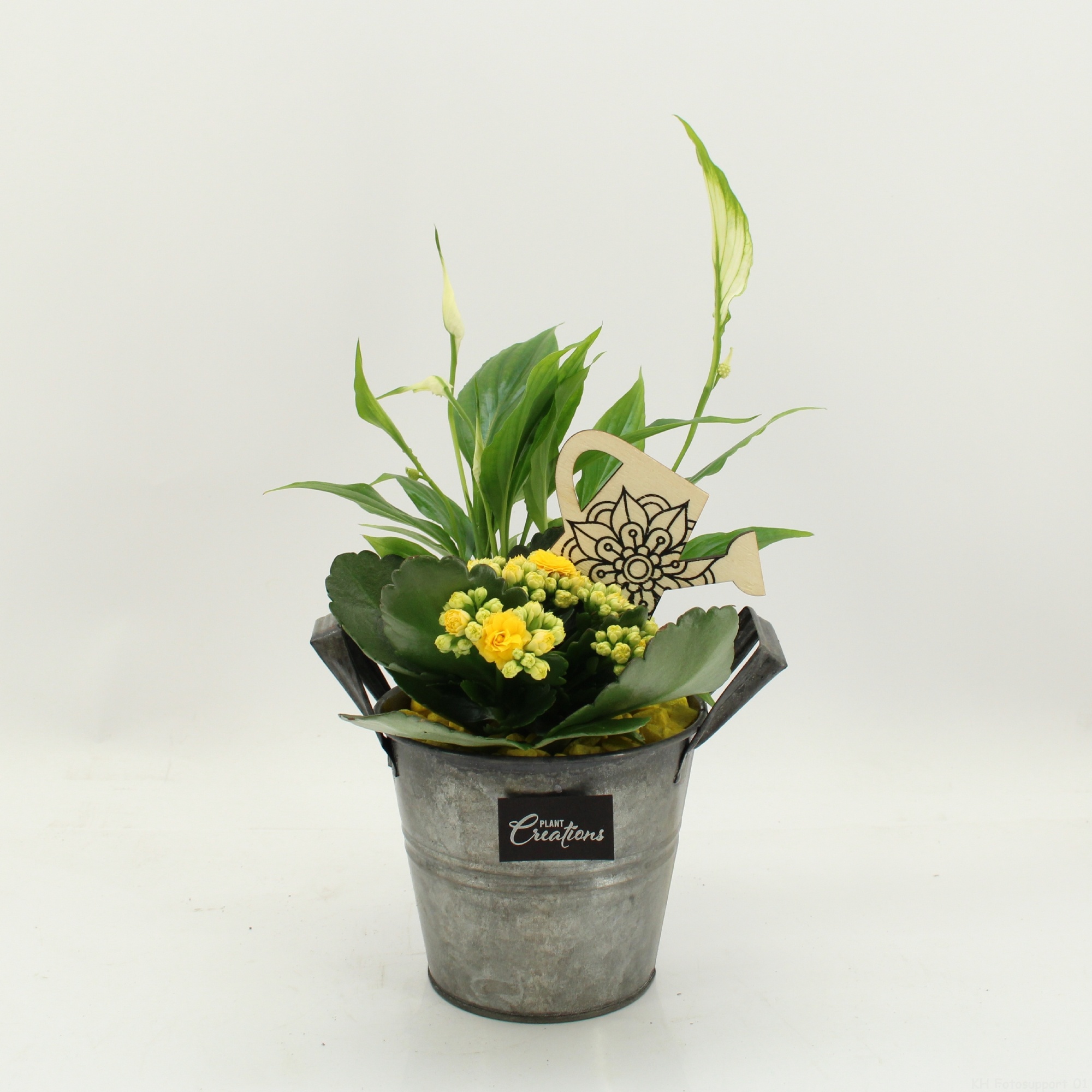 FDCR-2613G Basic Fundamentals, D 14