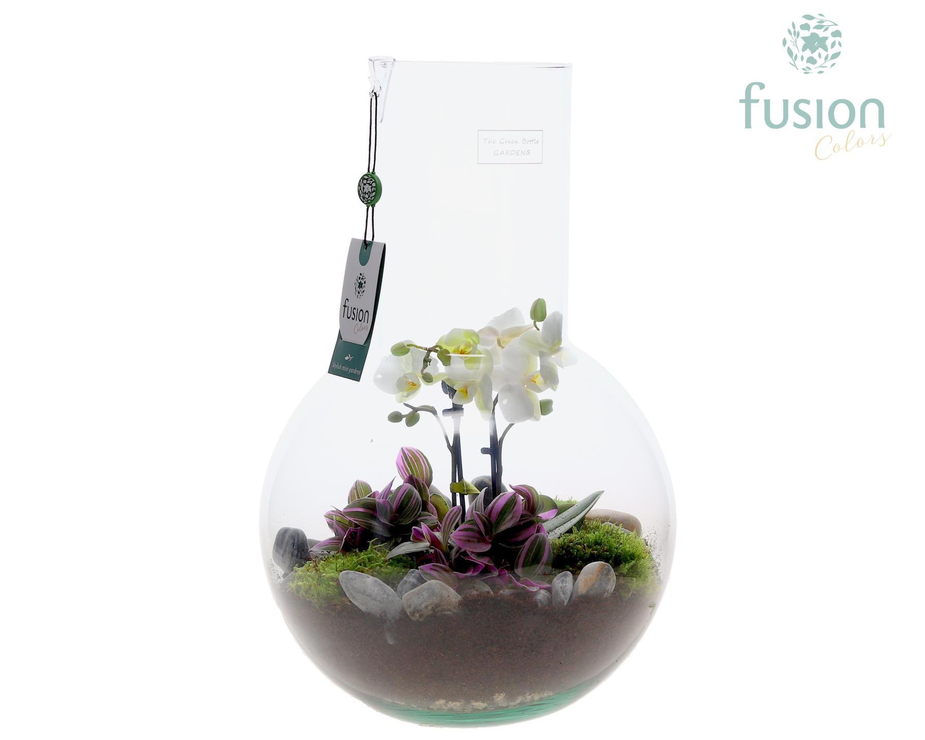 Green Bottle Suzanne Large met Moederdag arrangement, D 26