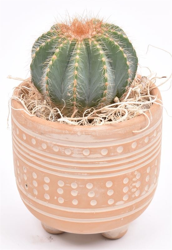 Cement met motief op pootjes 9cm, D 9