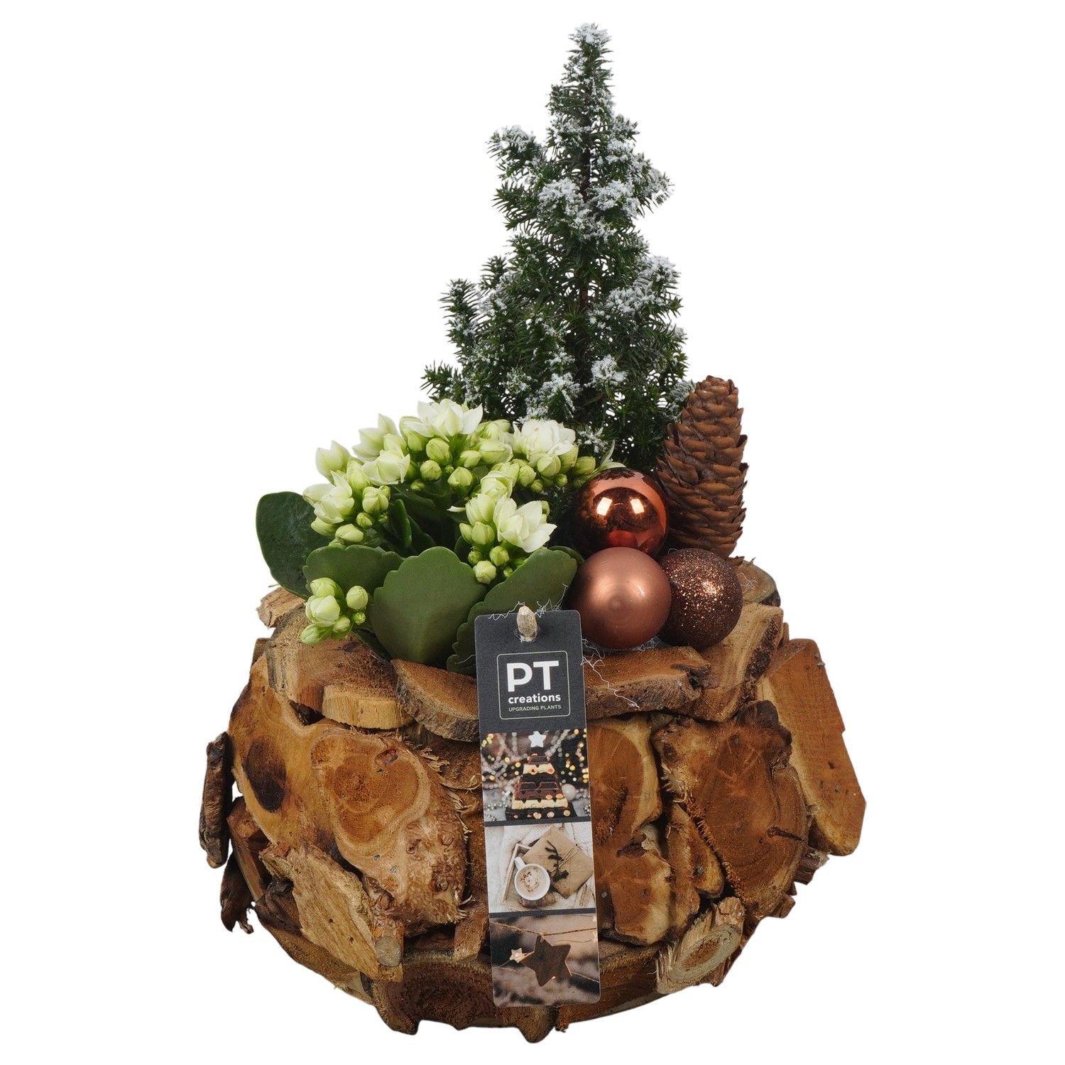 PTCHB9812 Arrangement Christmas Bronze in houten pot, D 21 cm