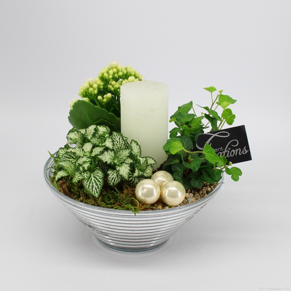 ADV-2512W Advent creatie, D 20 cm