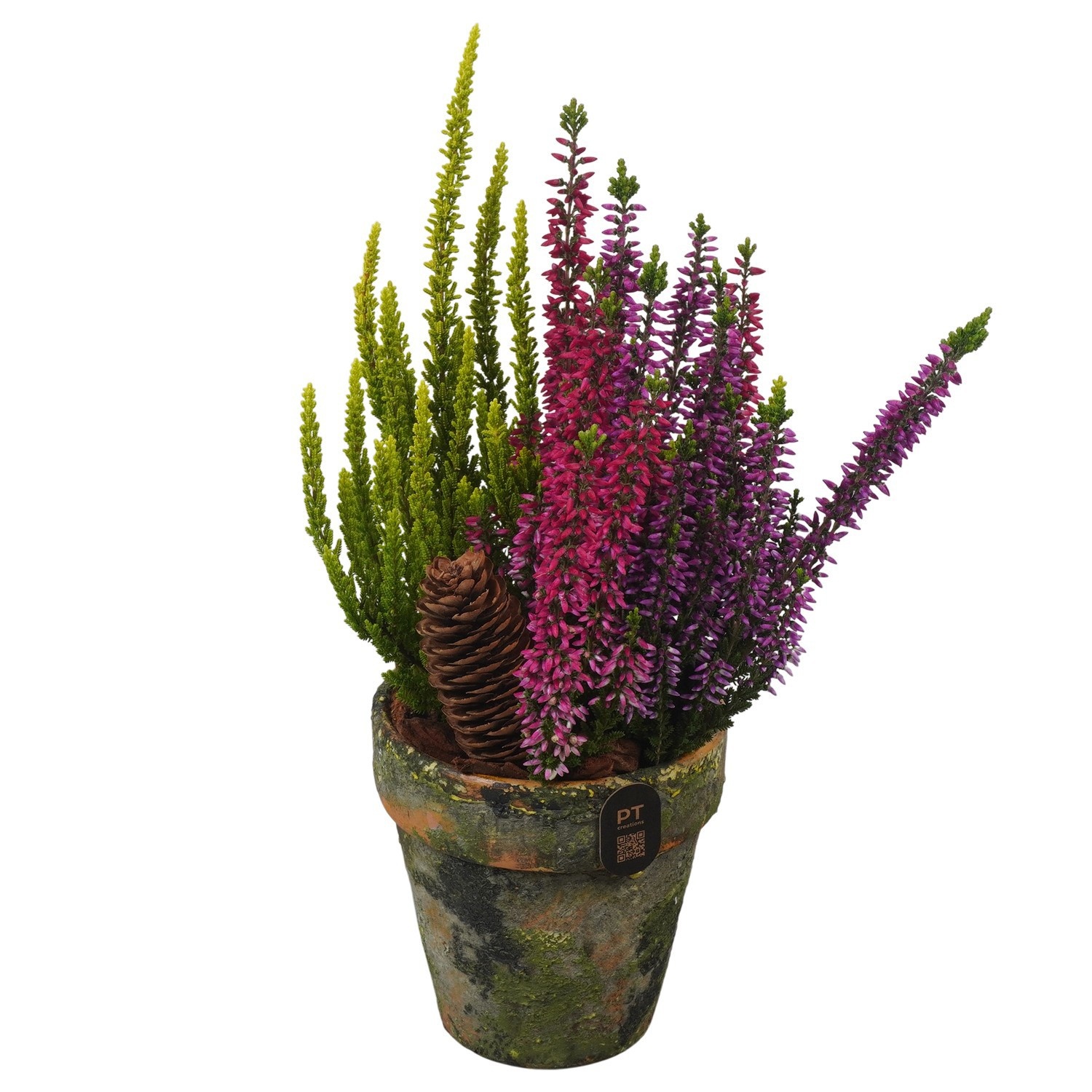 PTHO7705 Arrangement Autumn Outdoor in terracotta pot, D 10