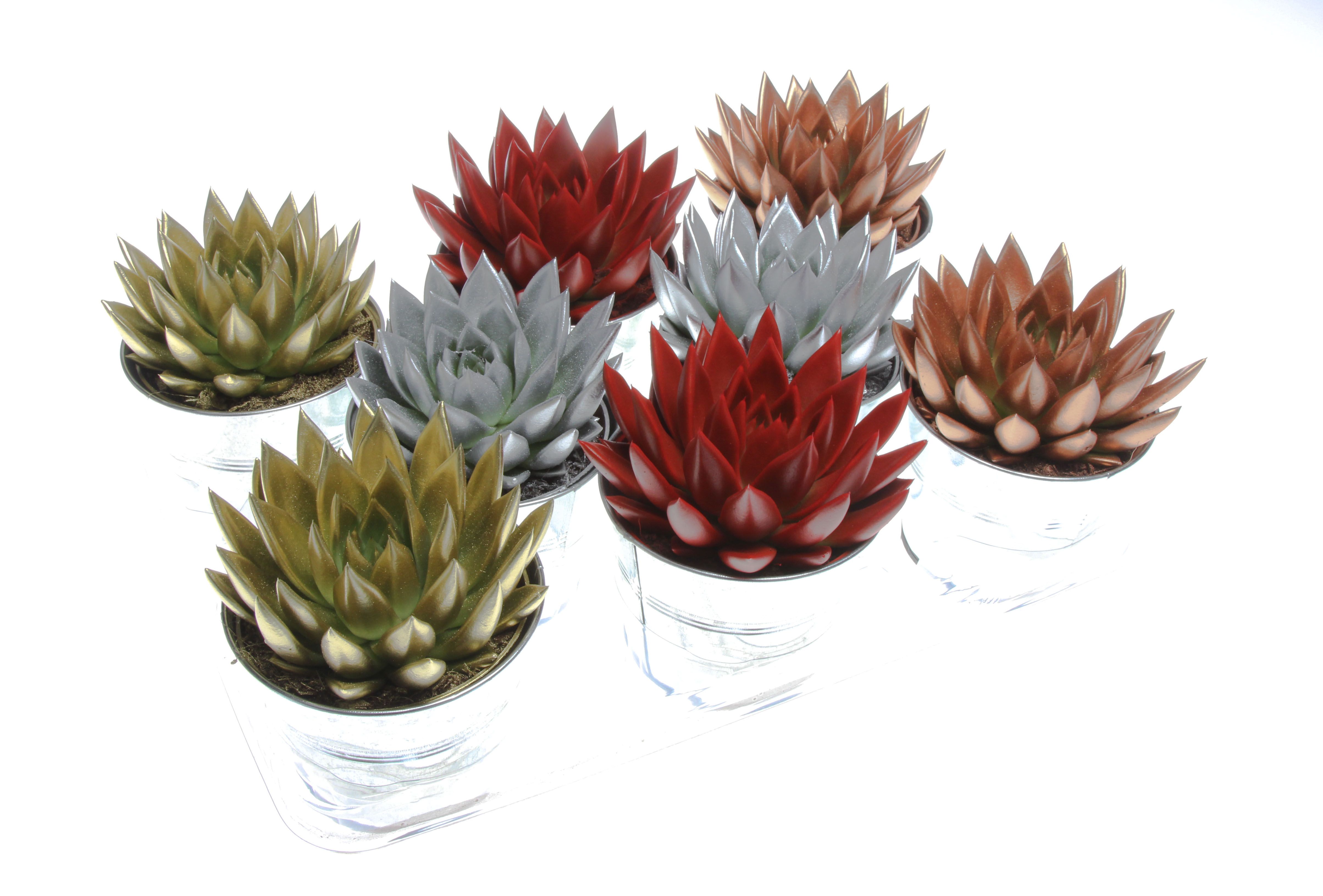 Rainbow zink kerst, D 11