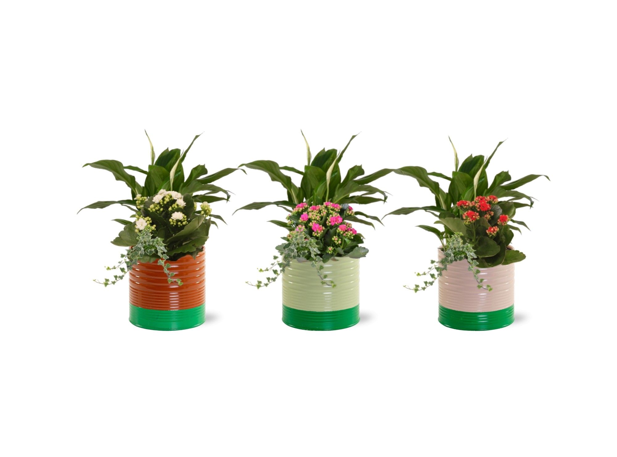 Collectie 'Natural Bubble' - Arrangement in Zink Nola, D 12