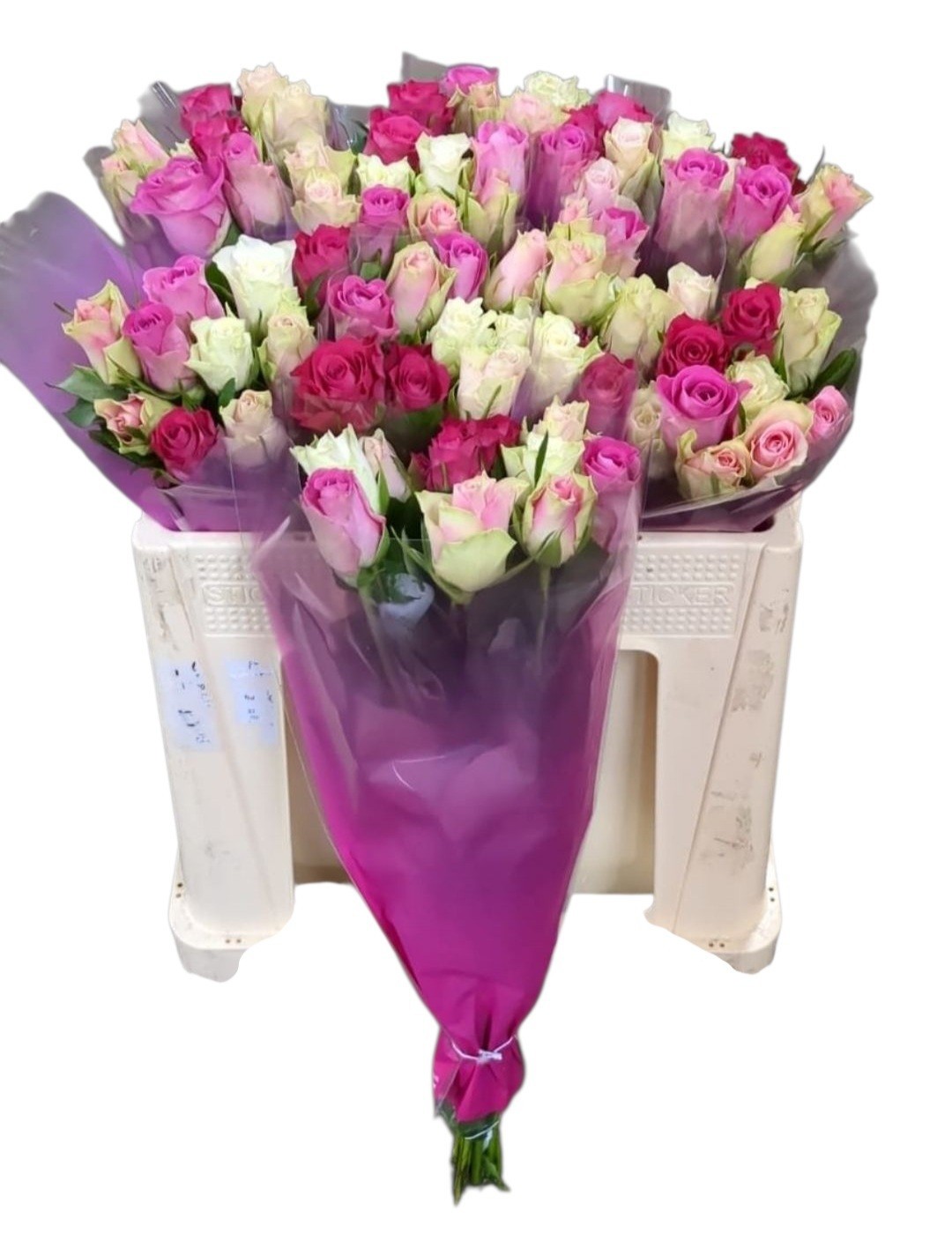 Роза од. Микс в пачке 50, шт.