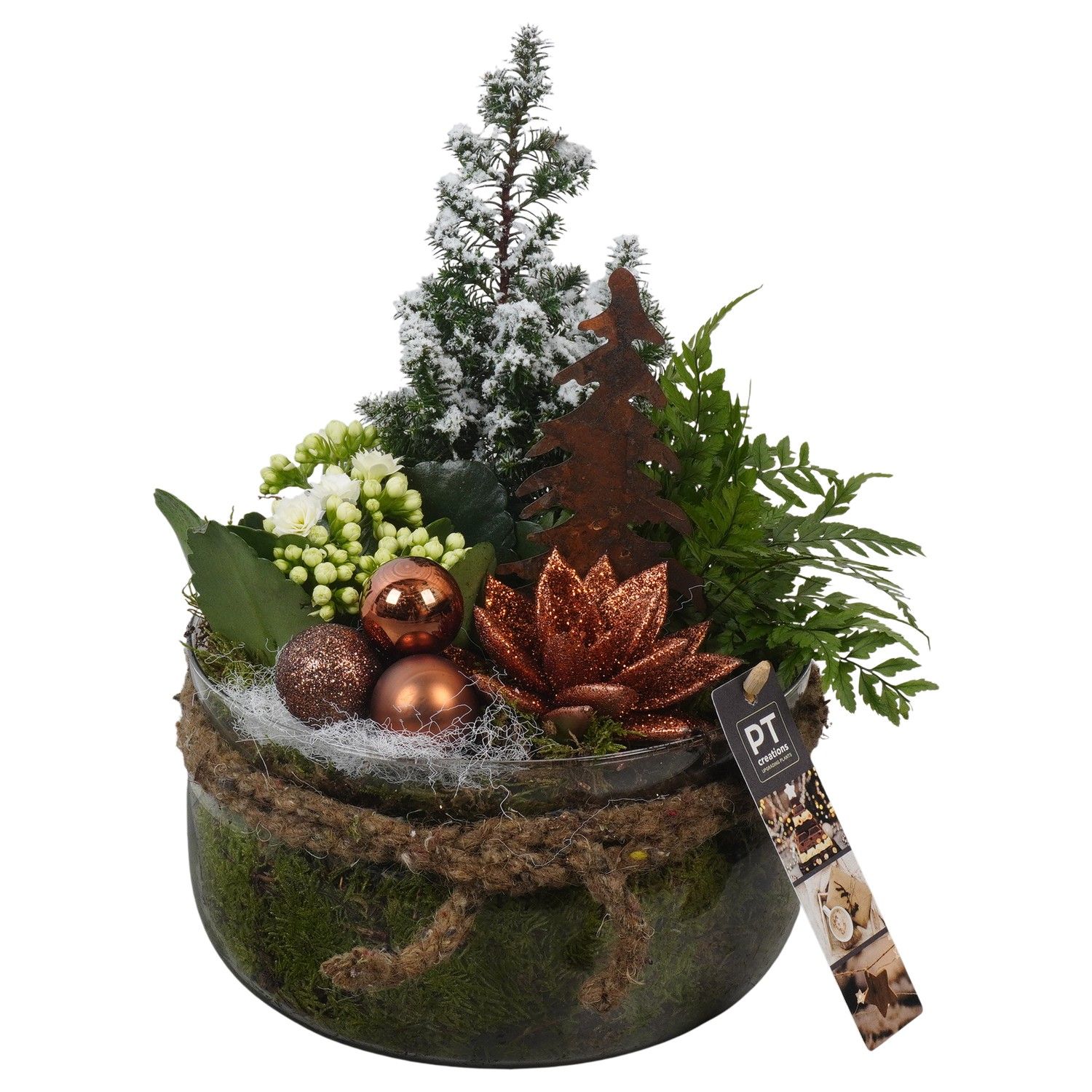 PTCHB9858 Arrangement Christmas Bronze in glas schaal, D 19 cm