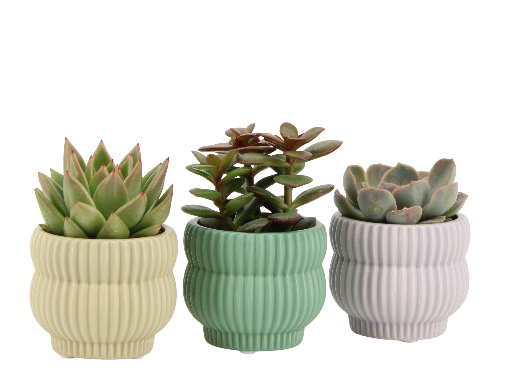 7501366: Solutionss Consideration, D 6