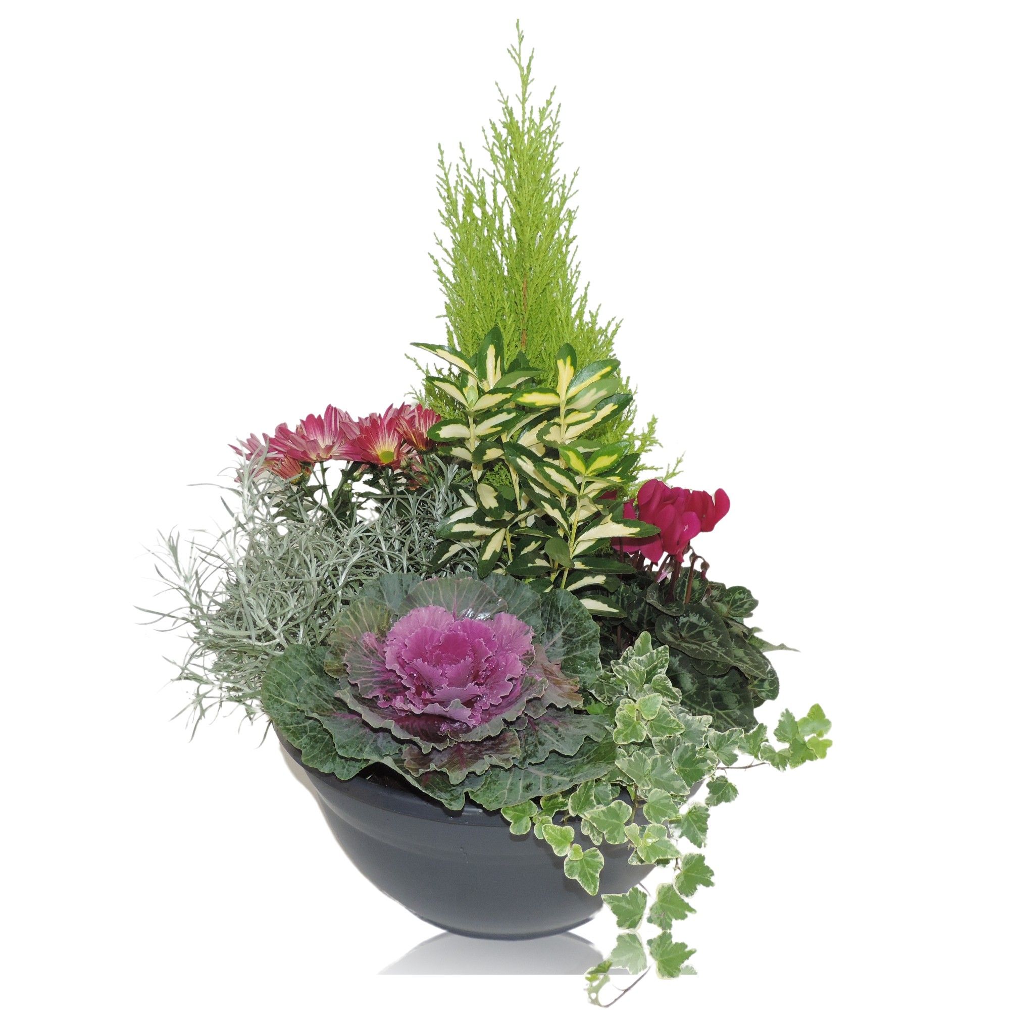 Arrangement Autumn Classic in Bowl 33 cm, D 33