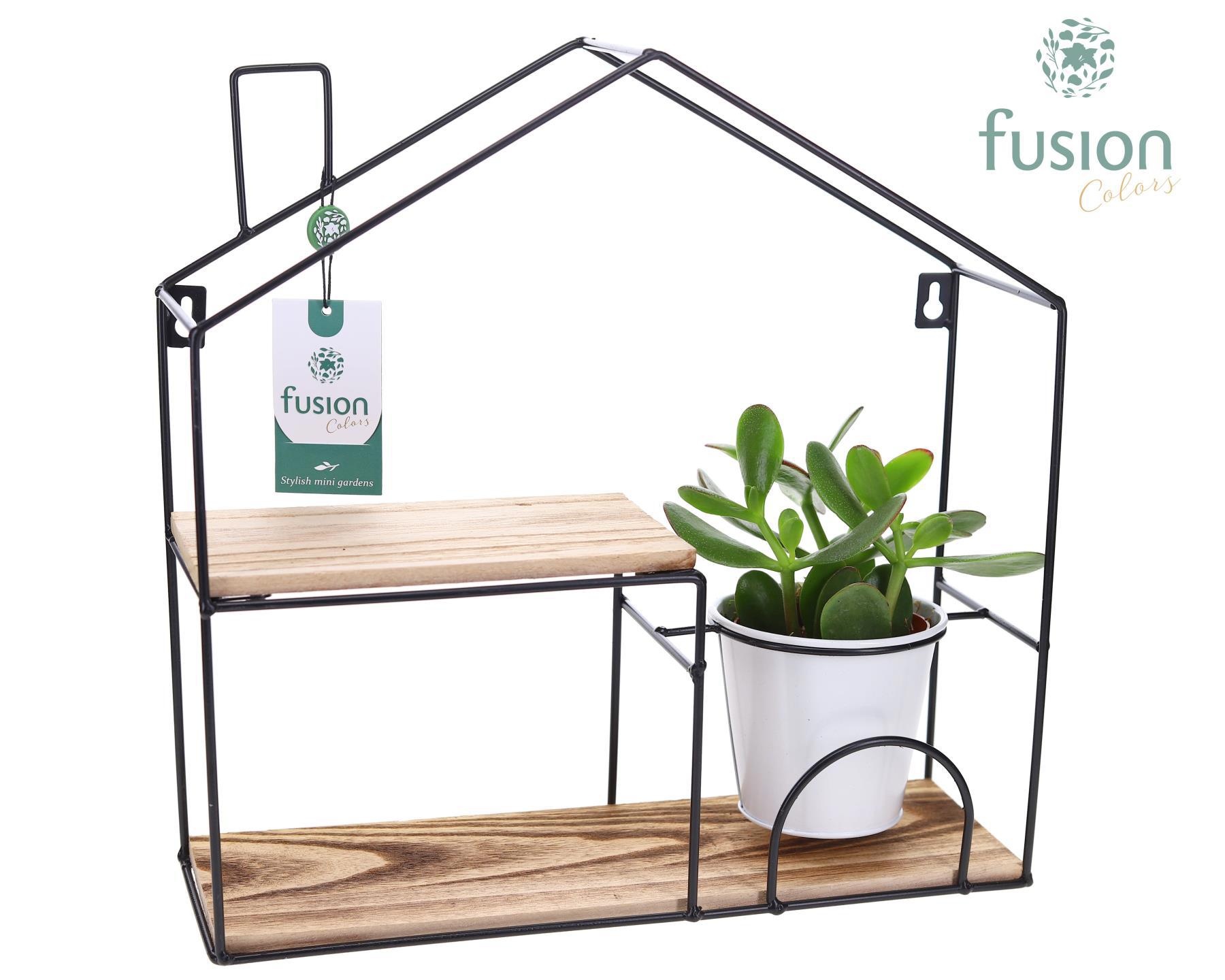 Wandhuis metaal met Succulent, D 35