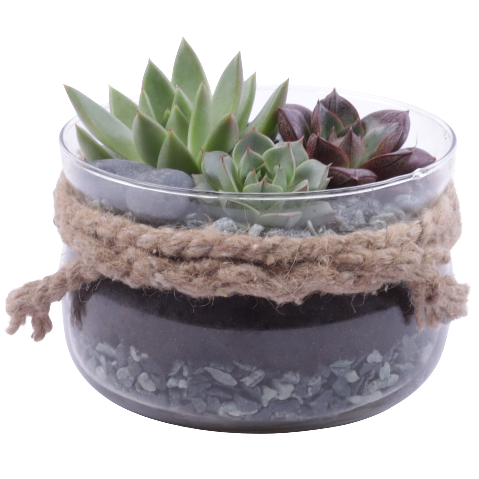 Yearround Arr. Succulent Glass Bowl with Rope Ø16cm 3PP, D 16
