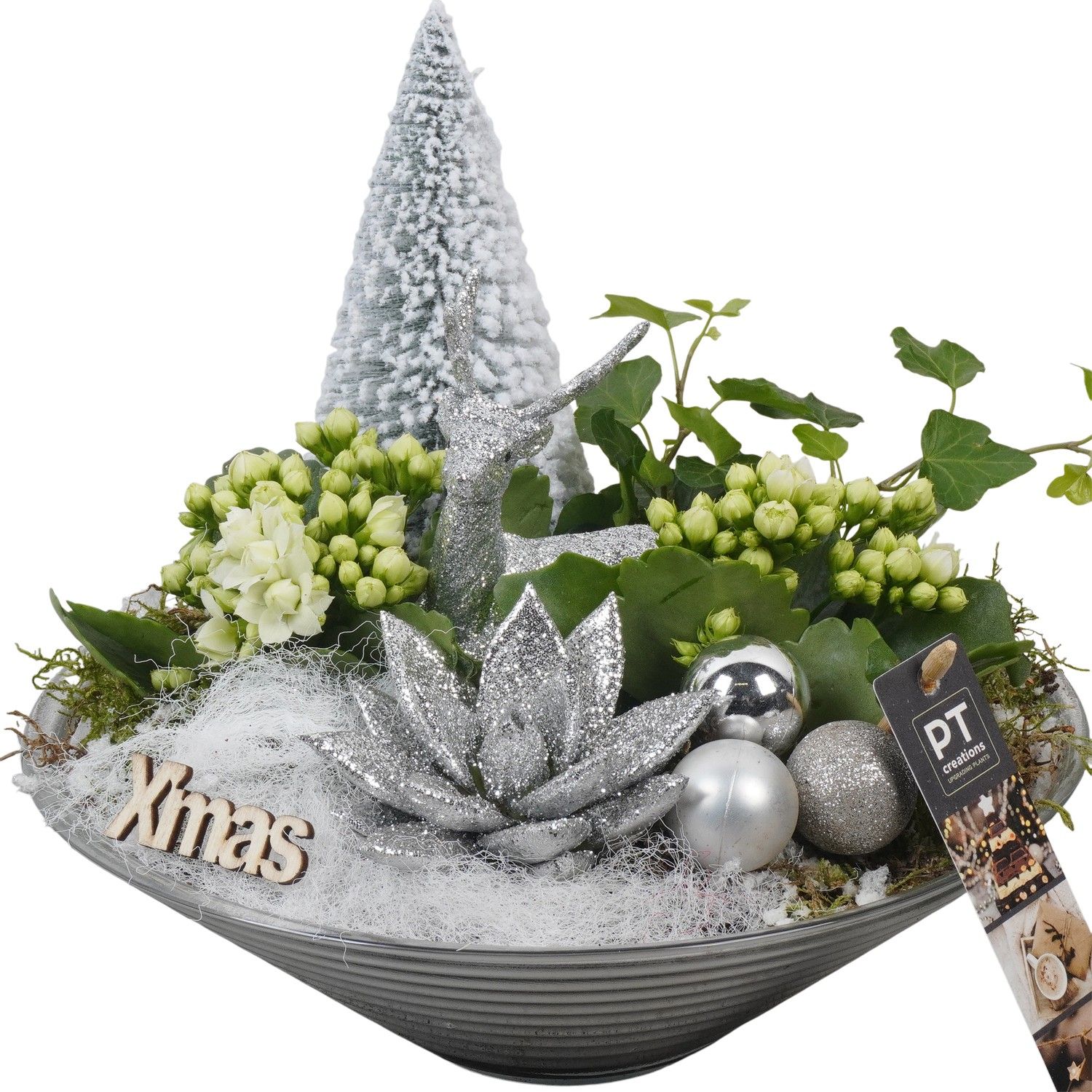PTCHW4363 Arrangement Christmas White in glas schaal, D 26 cm