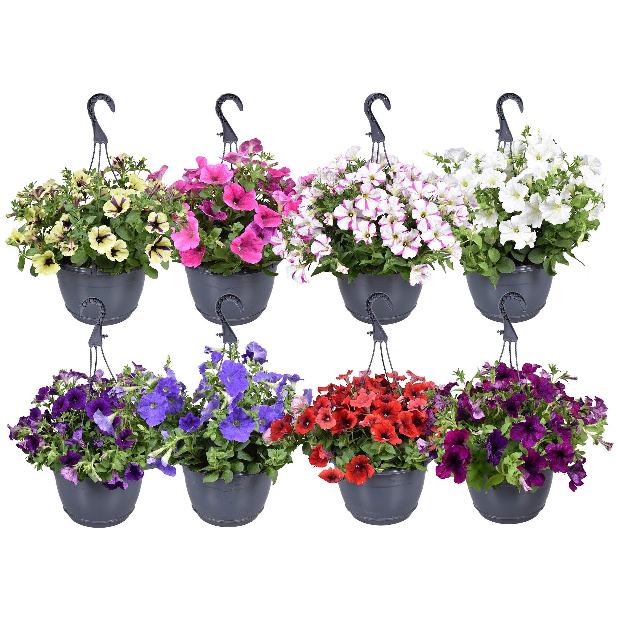 Hpot Pet Mixlaag ZONDER hoes, D 25