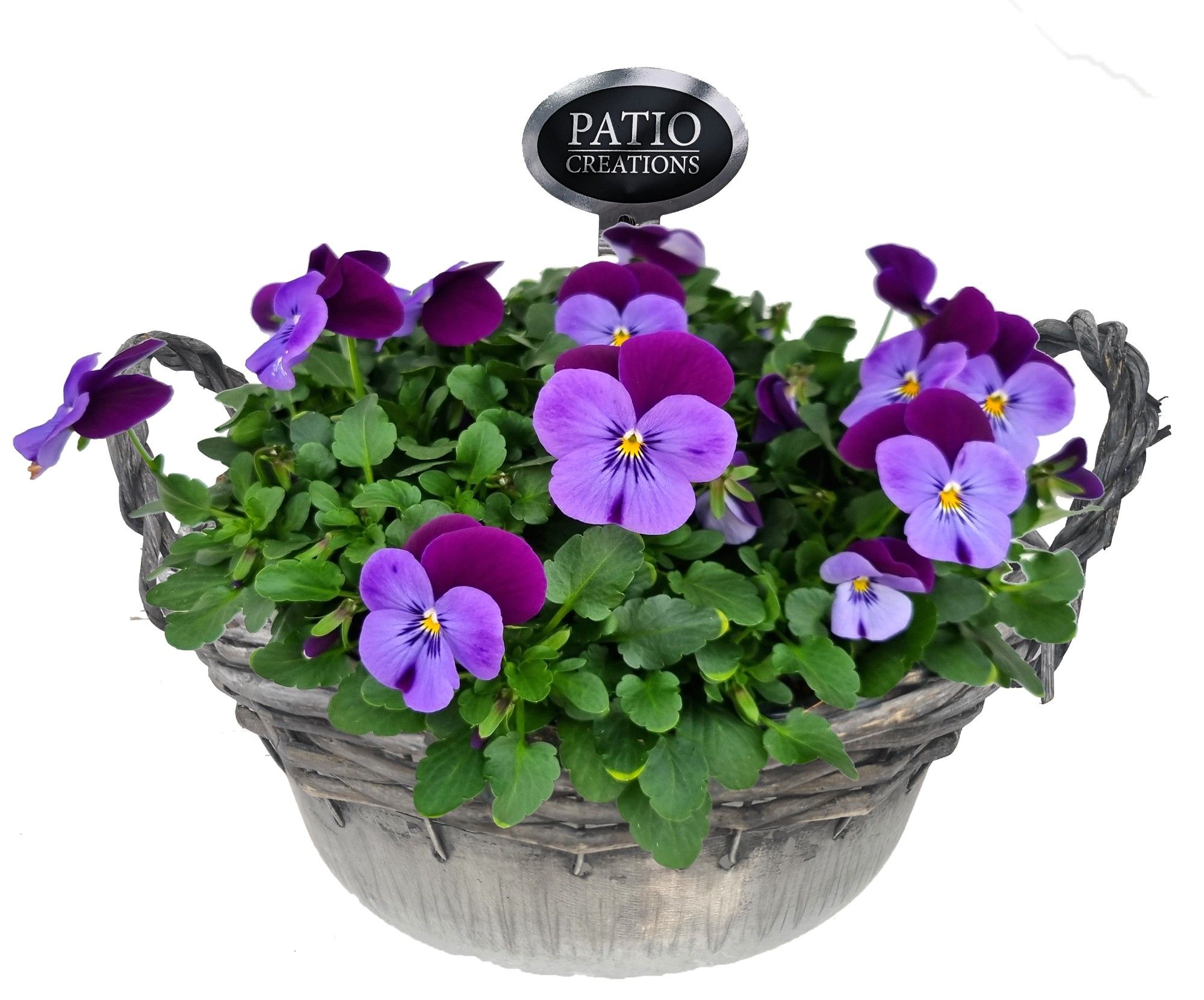 V501-9323 Viola zink rattan rond, D 24