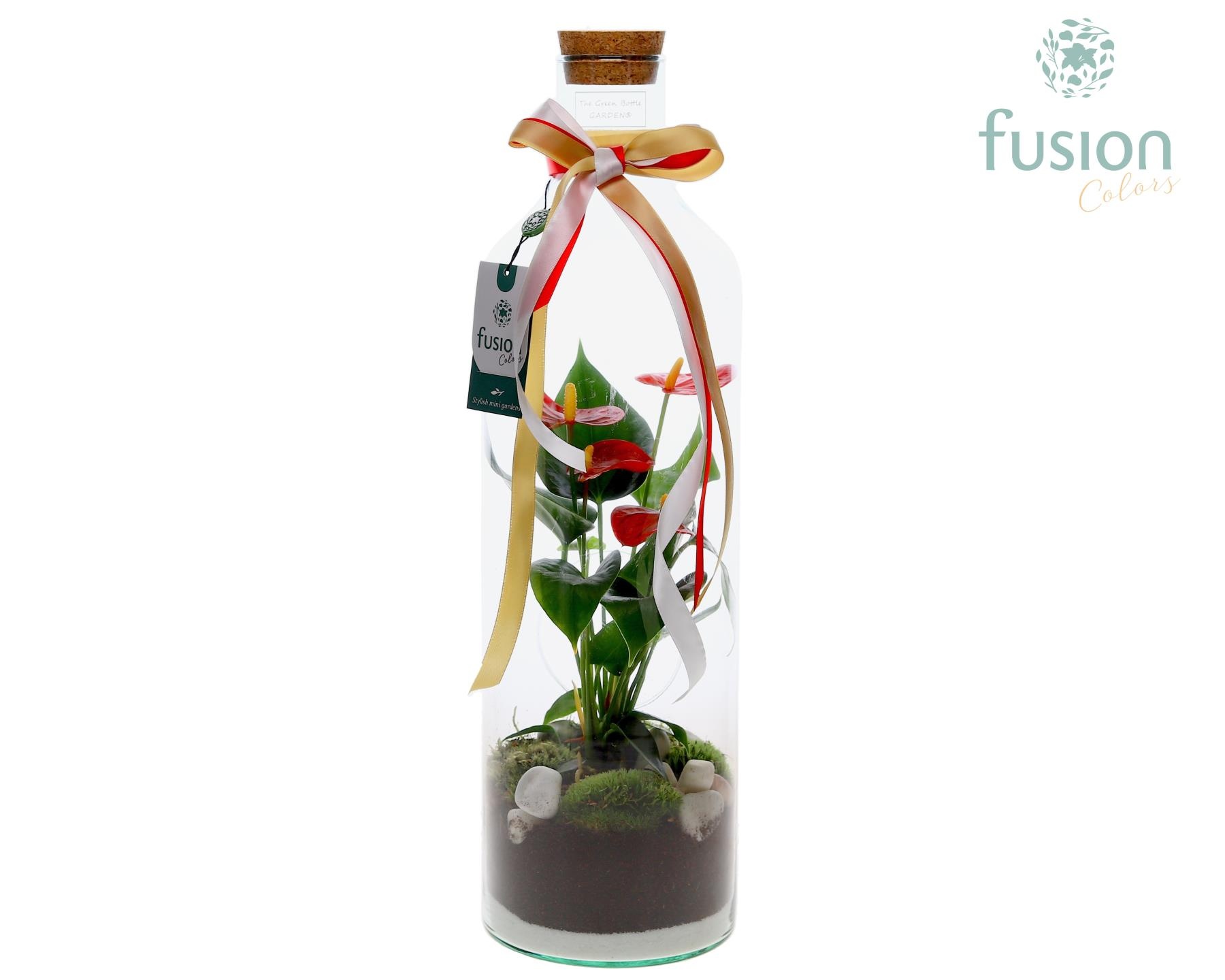 Green Bottle Fles Large Kerst met Anthurium, D 15