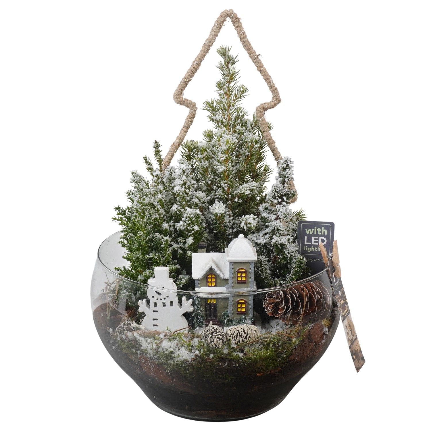 PTCWW6845 Arrangement Winter in glas schaal, D 23 cm