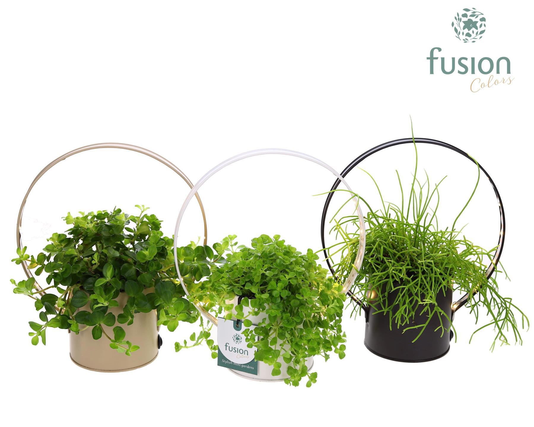 Planter zink met verlichting met Groene planten, D 20