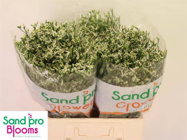 Лимониум Кул Даймонд 60, шт.