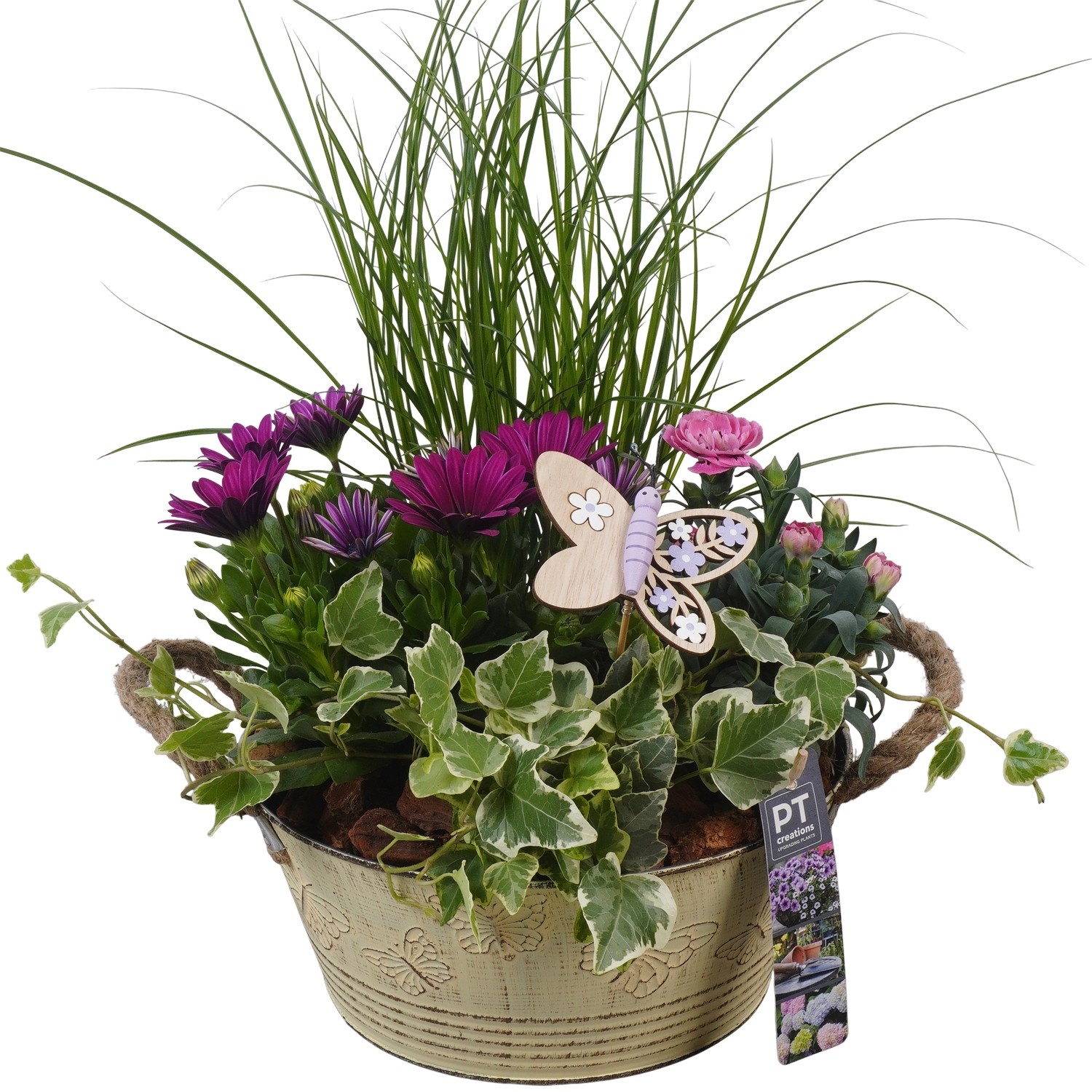 PTPP6808 Arrangement Patio in metalen bak, D 23