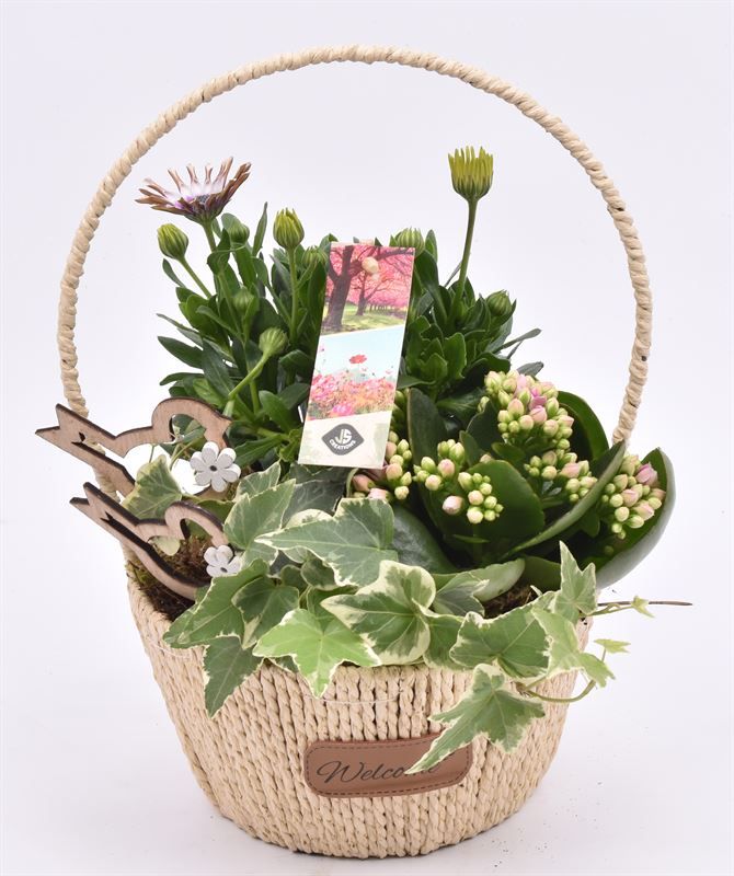 Touw hengselmand "welcome" 17cm, D 17