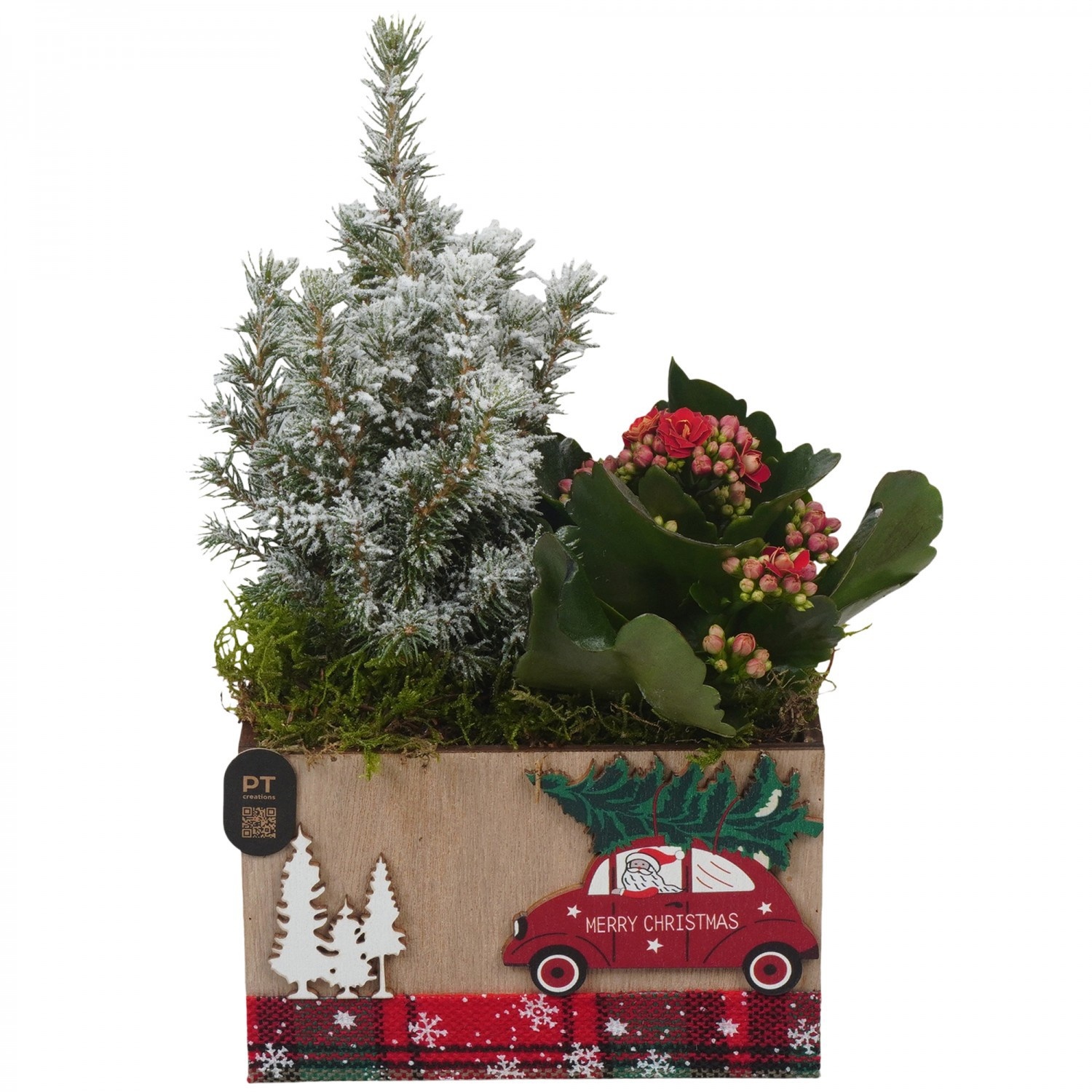 PTCHR9639 Arrangement Christmas Red in houten bak, D 15