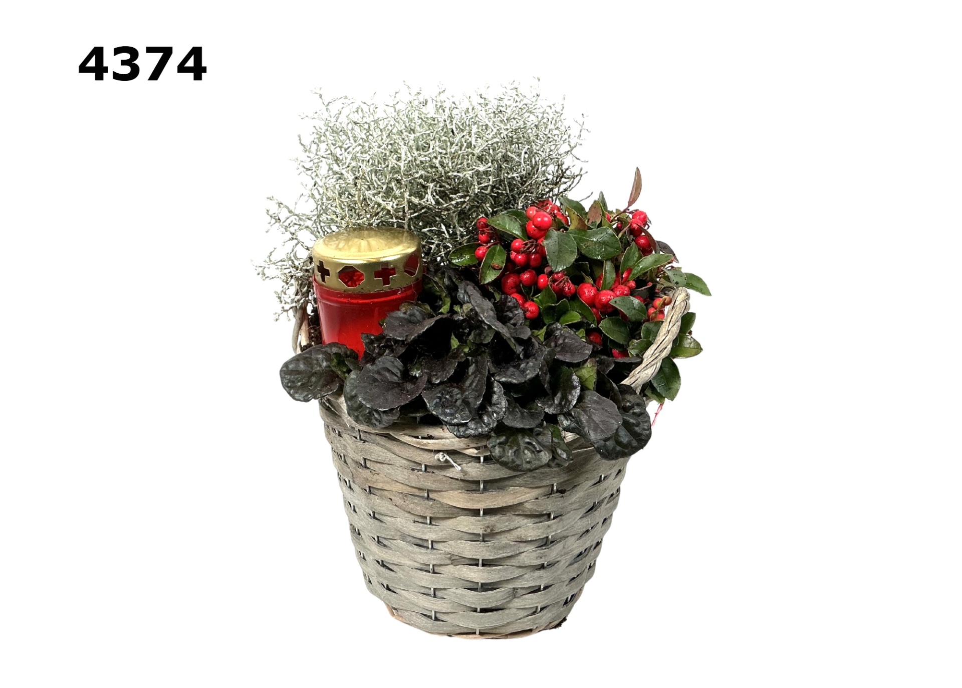 Graf potmand M, D 22 cm