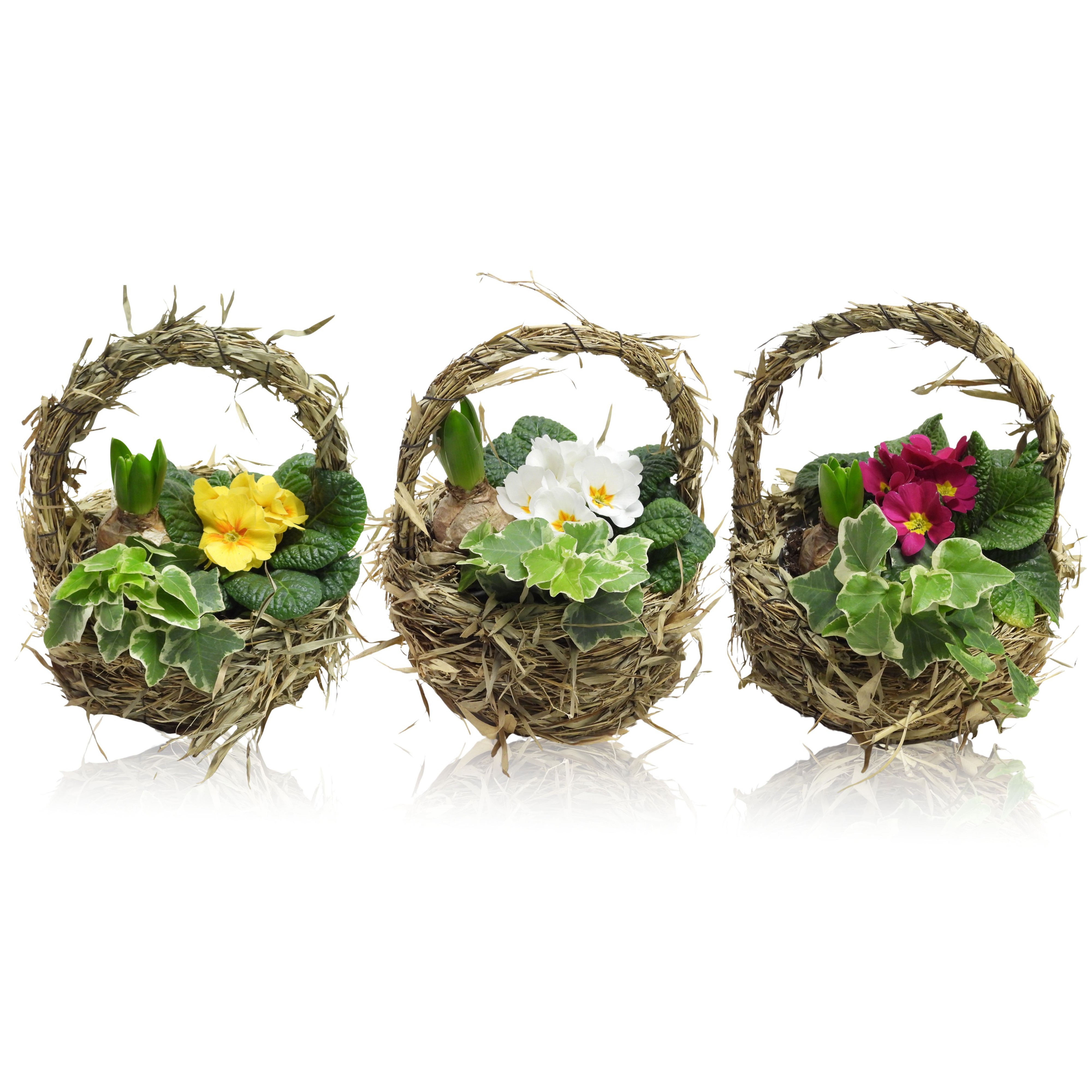 Early Spring Specials Arrangement Hyacint Mand Met Hengsel 20 cm, D 20