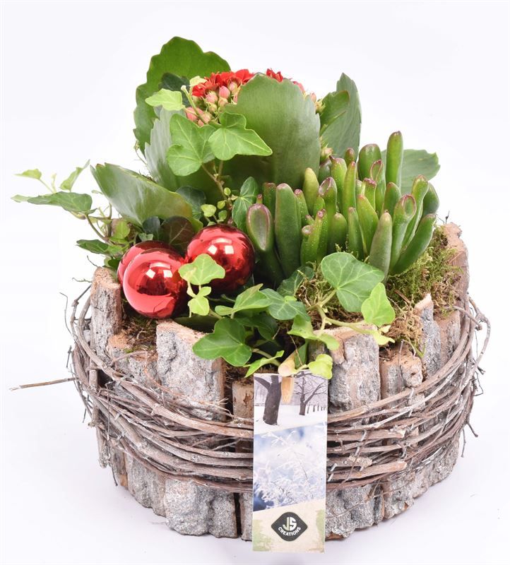 Boomschors rond 18cm, D 18 cm Boomschors rond 18cm, D 18 cm